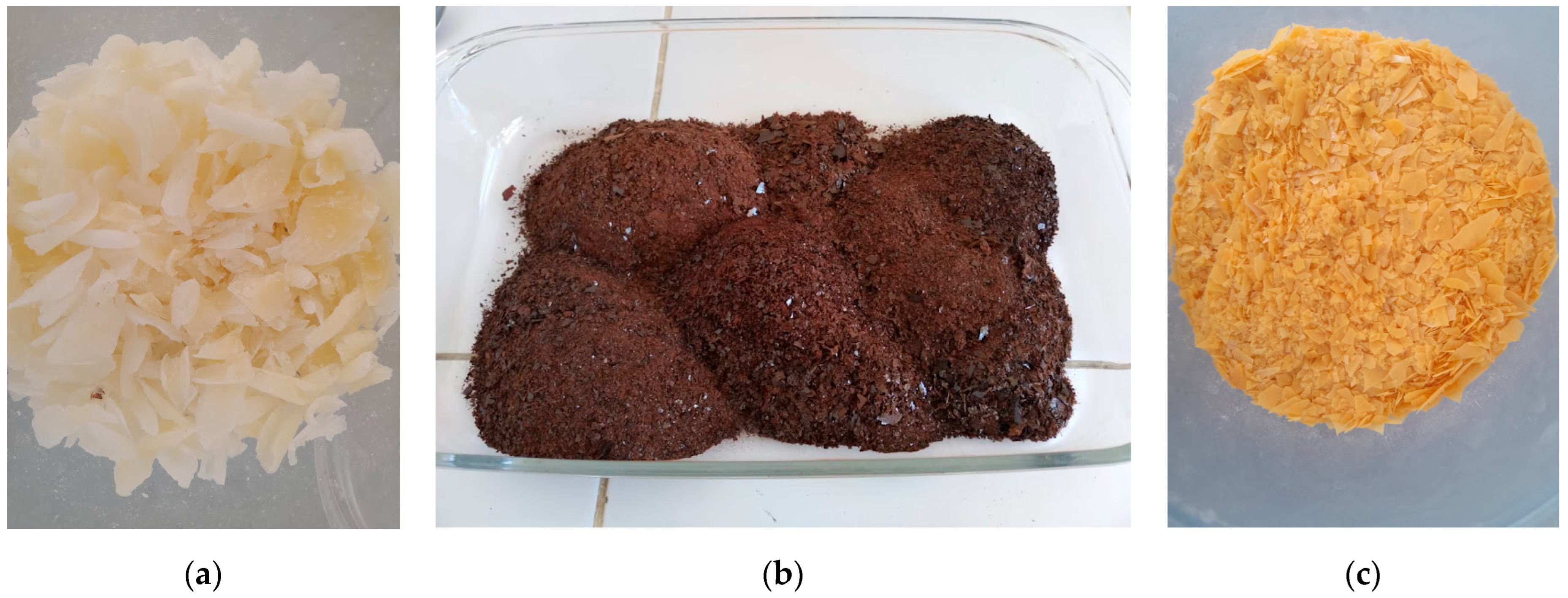 Vetsci 12 00014 g001