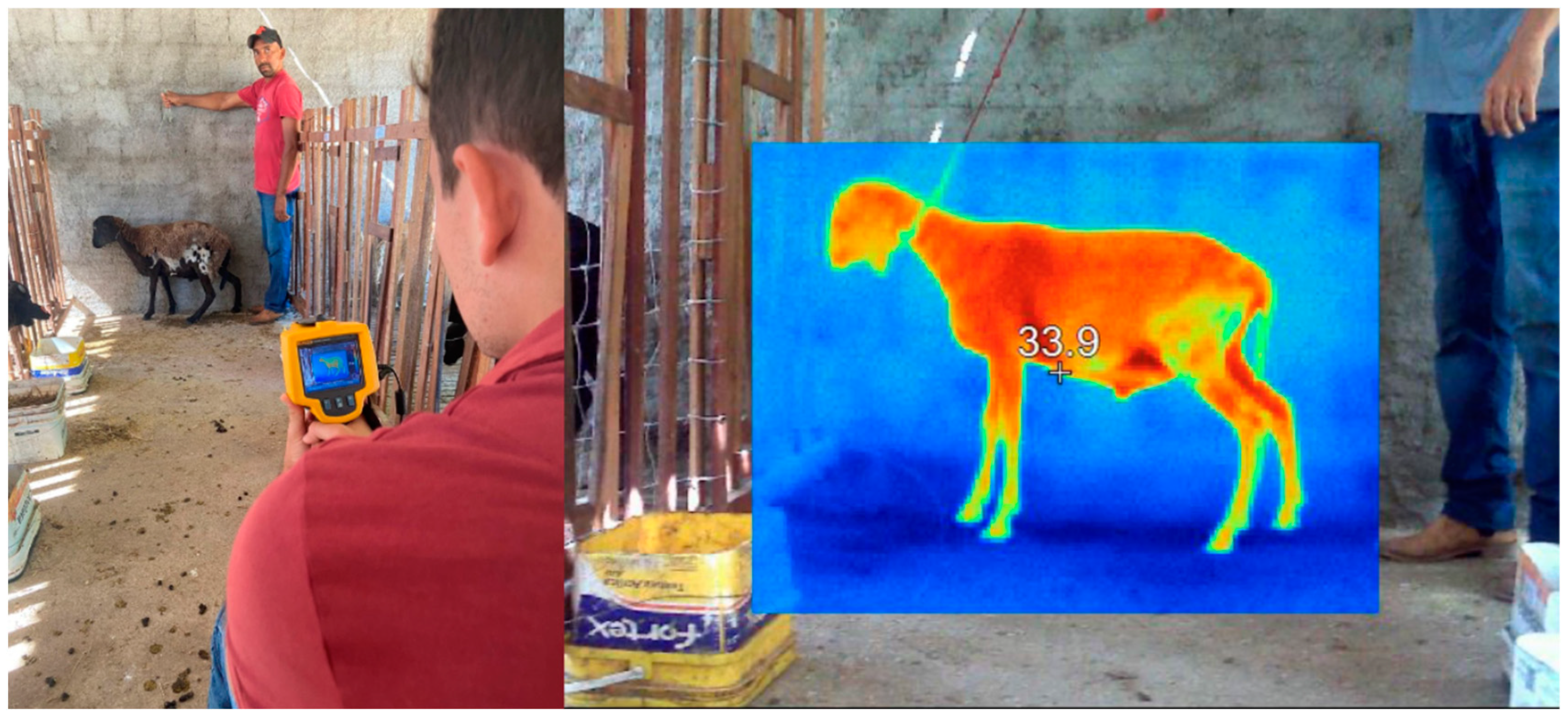 Vetsci 12 00014 g002