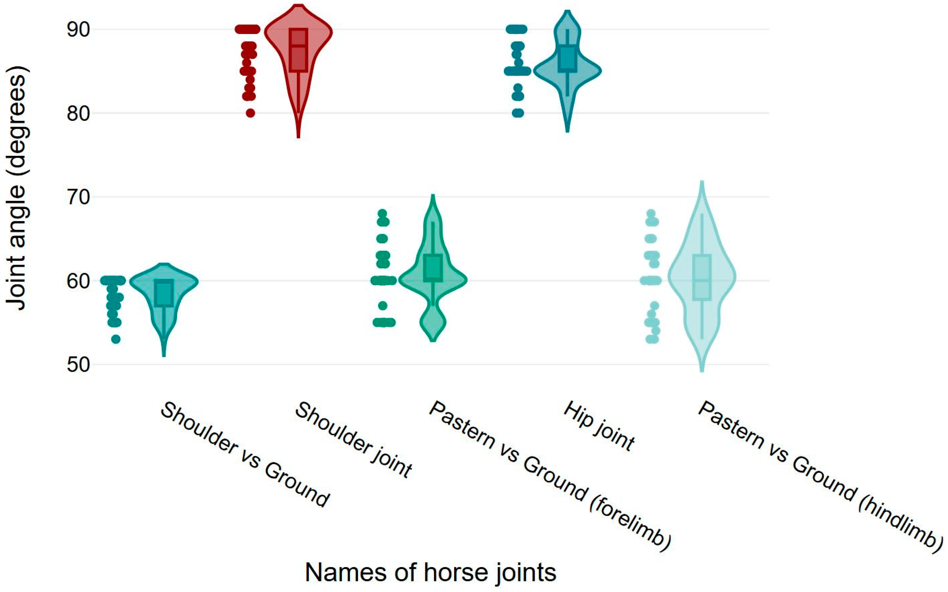 Vetsci 12 00020 g004