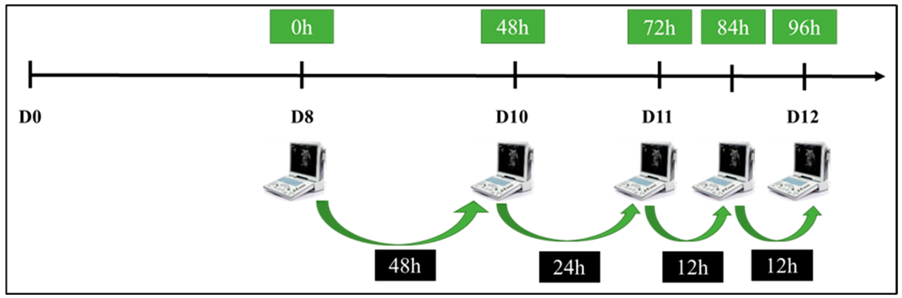 Vetsci 12 00027 g002