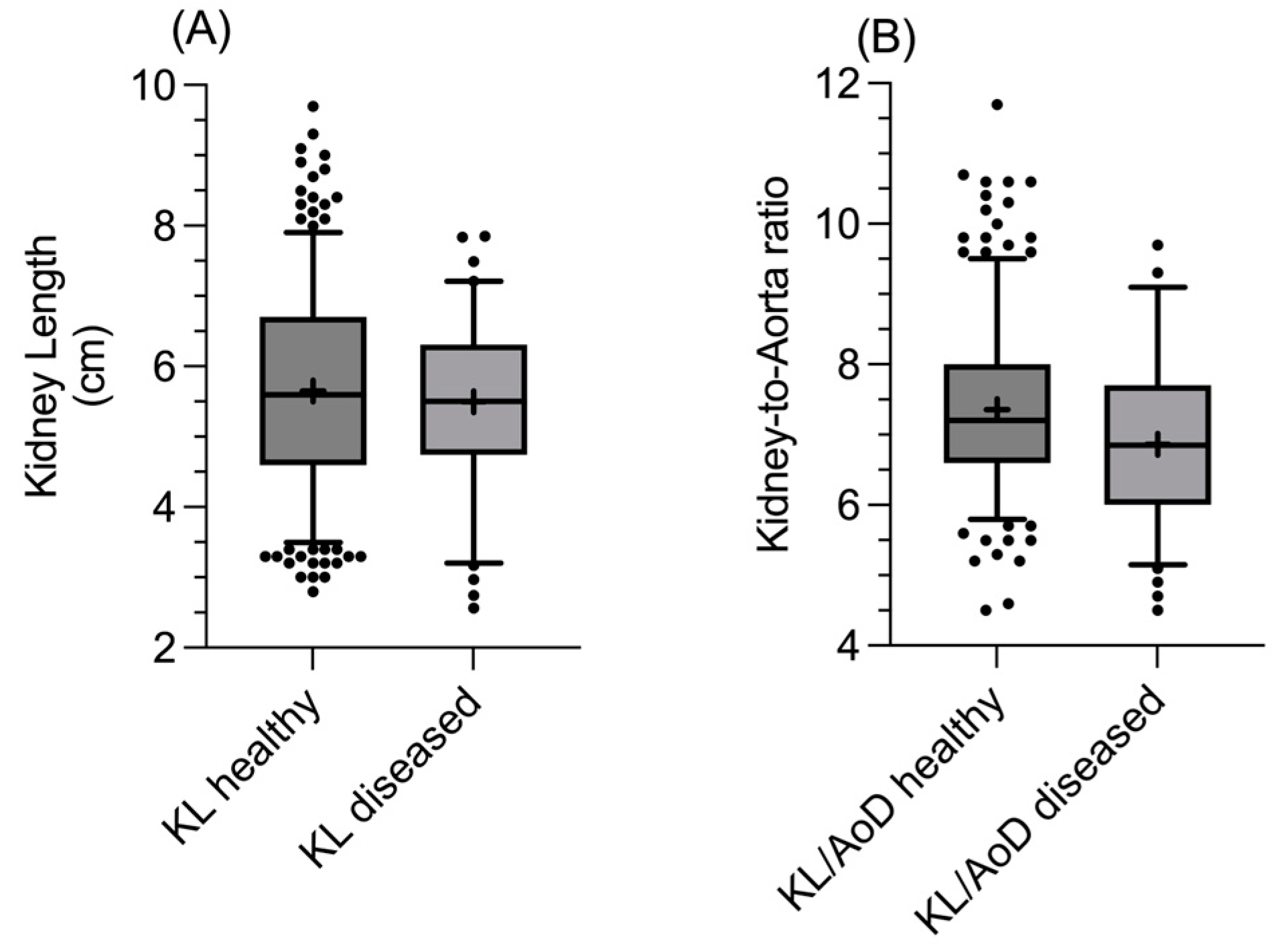 Vetsci 12 00029 g004