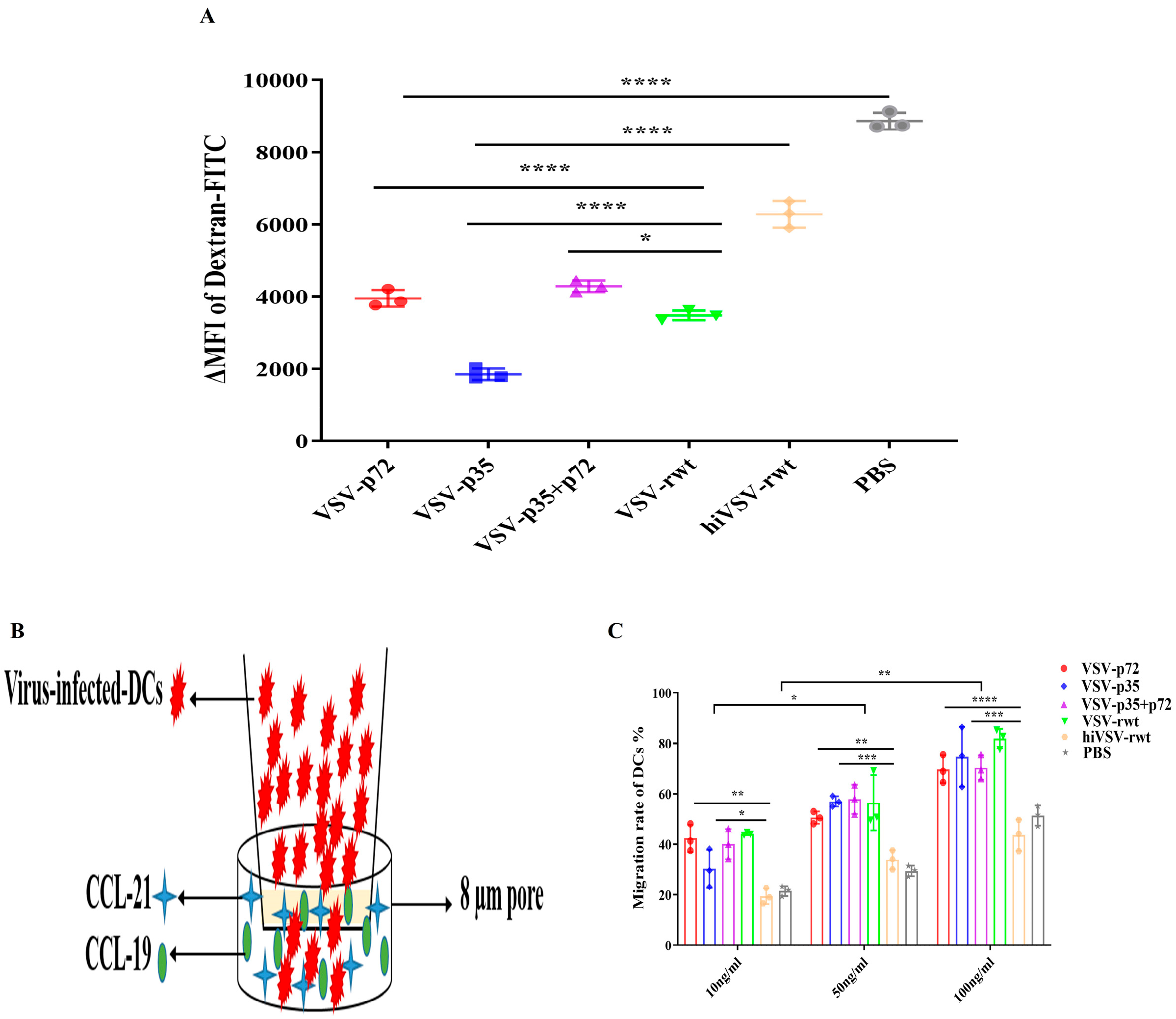 Vetsci 12 00036 g004