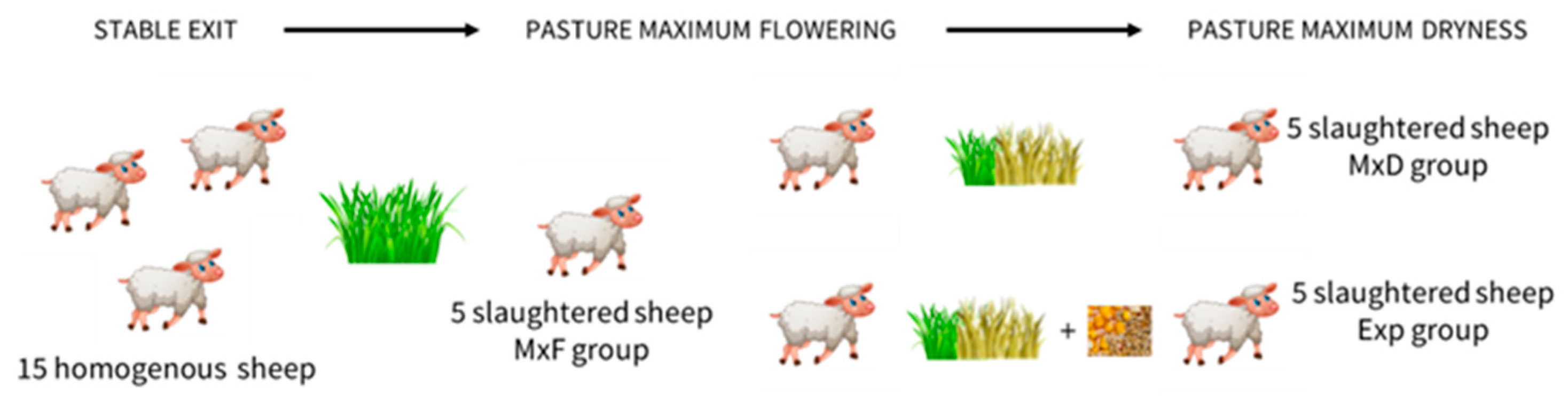 Vetsci 12 00041 g001 Vetsci 12 00041 g001