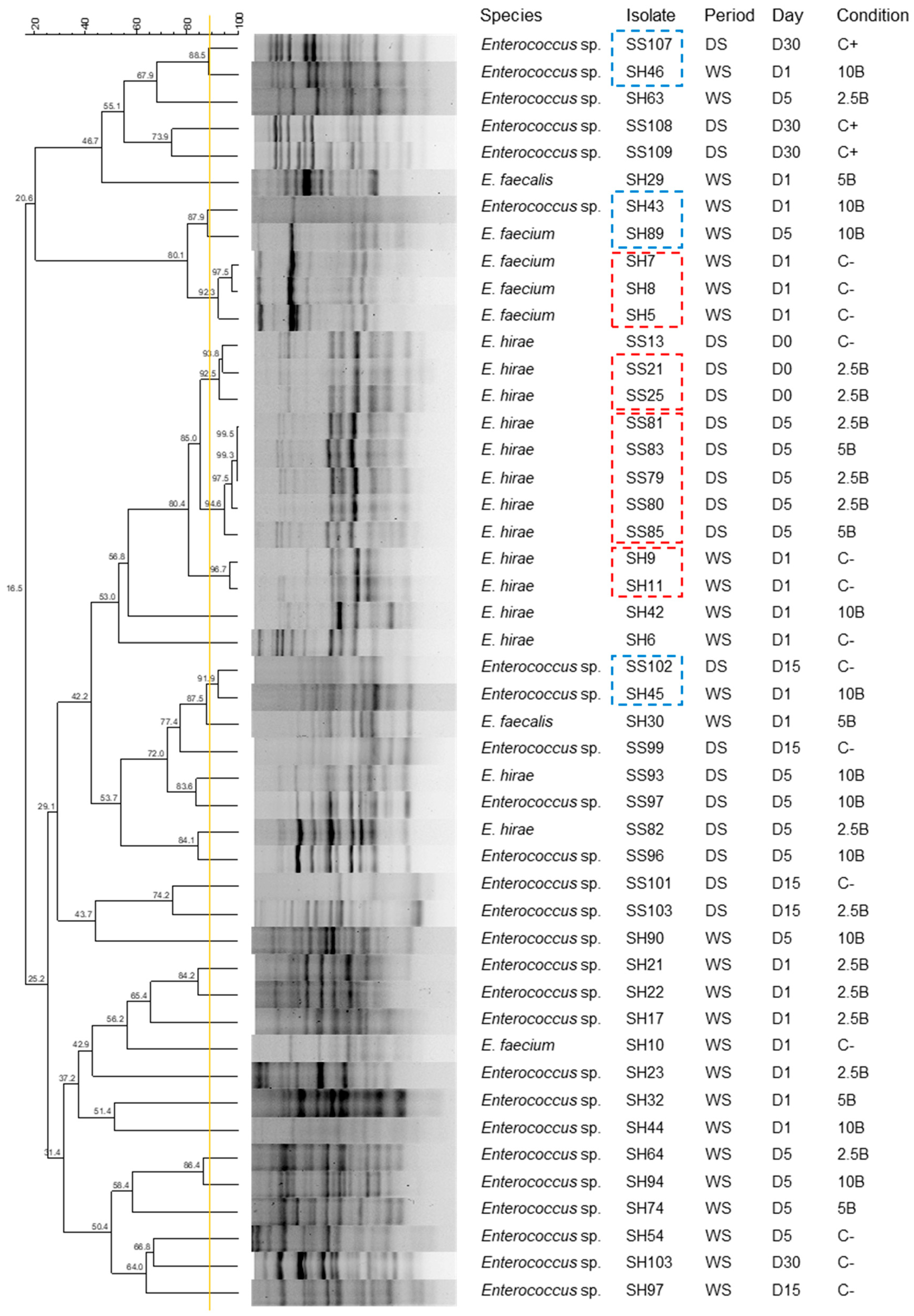Vetsci 12 00043 g003