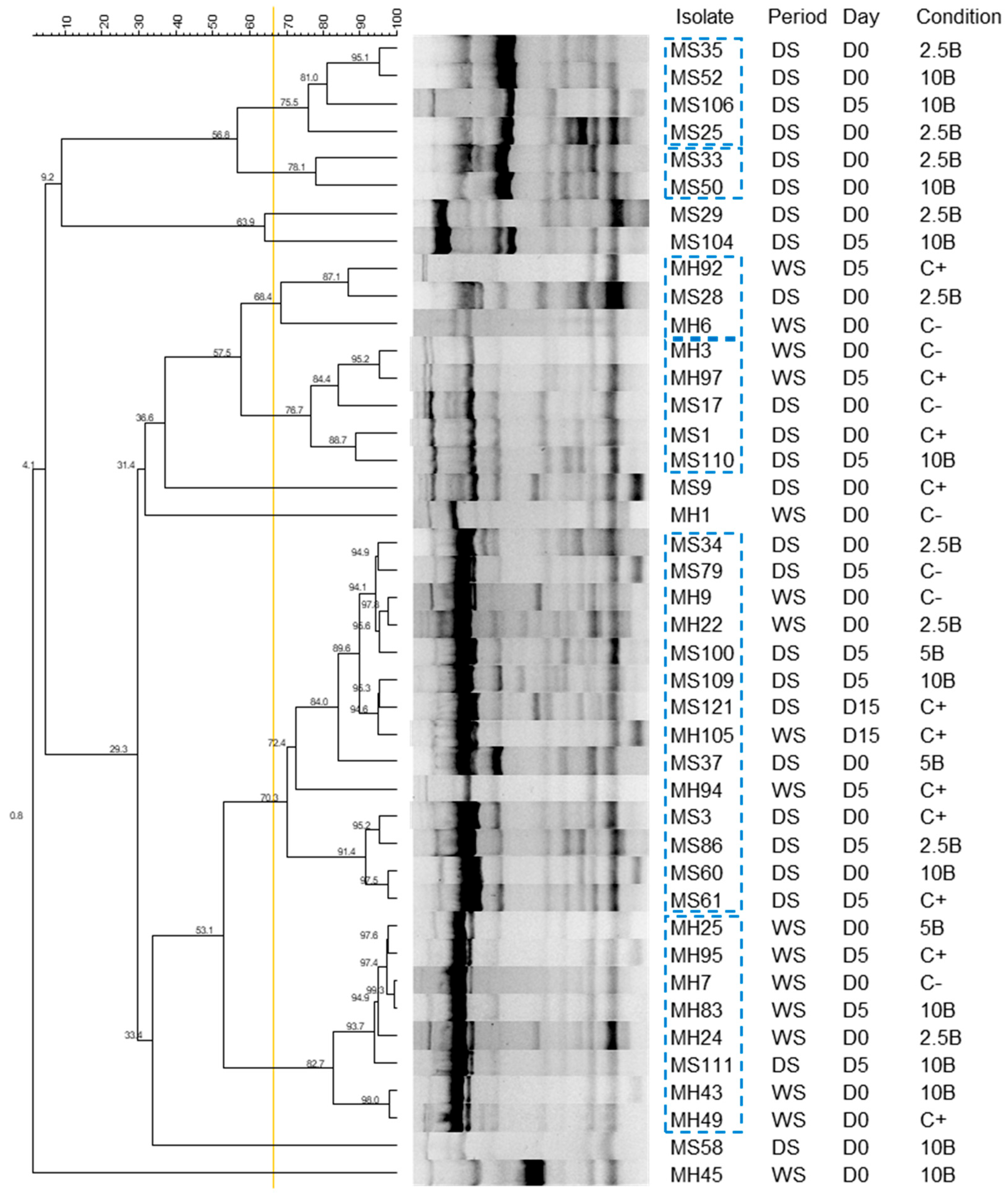 Vetsci 12 00043 g004