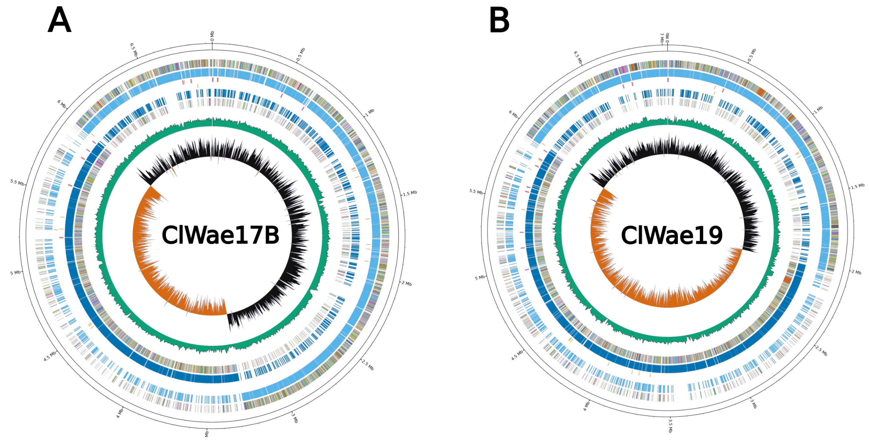 Vetsci 12 00051 g002