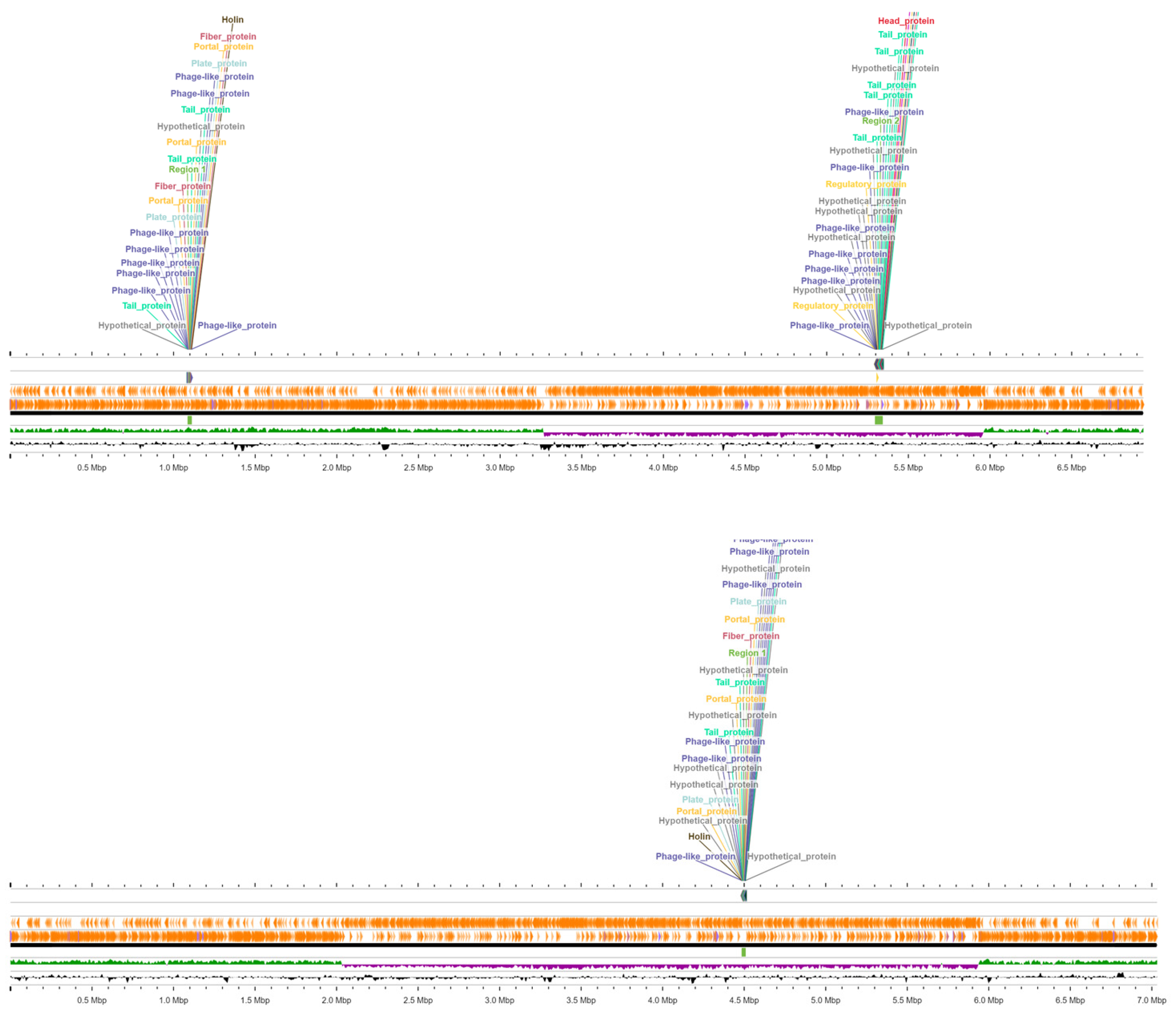 Vetsci 12 00051 g003