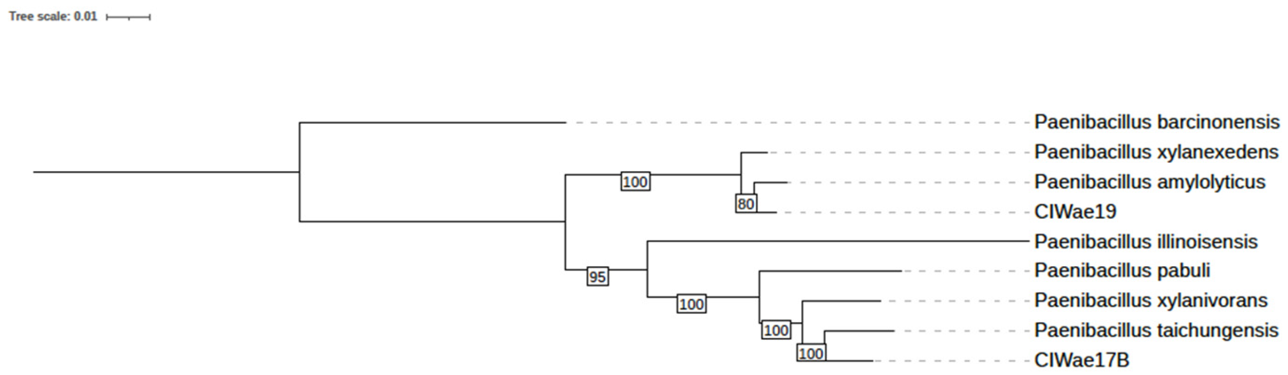 Vetsci 12 00051 g004
