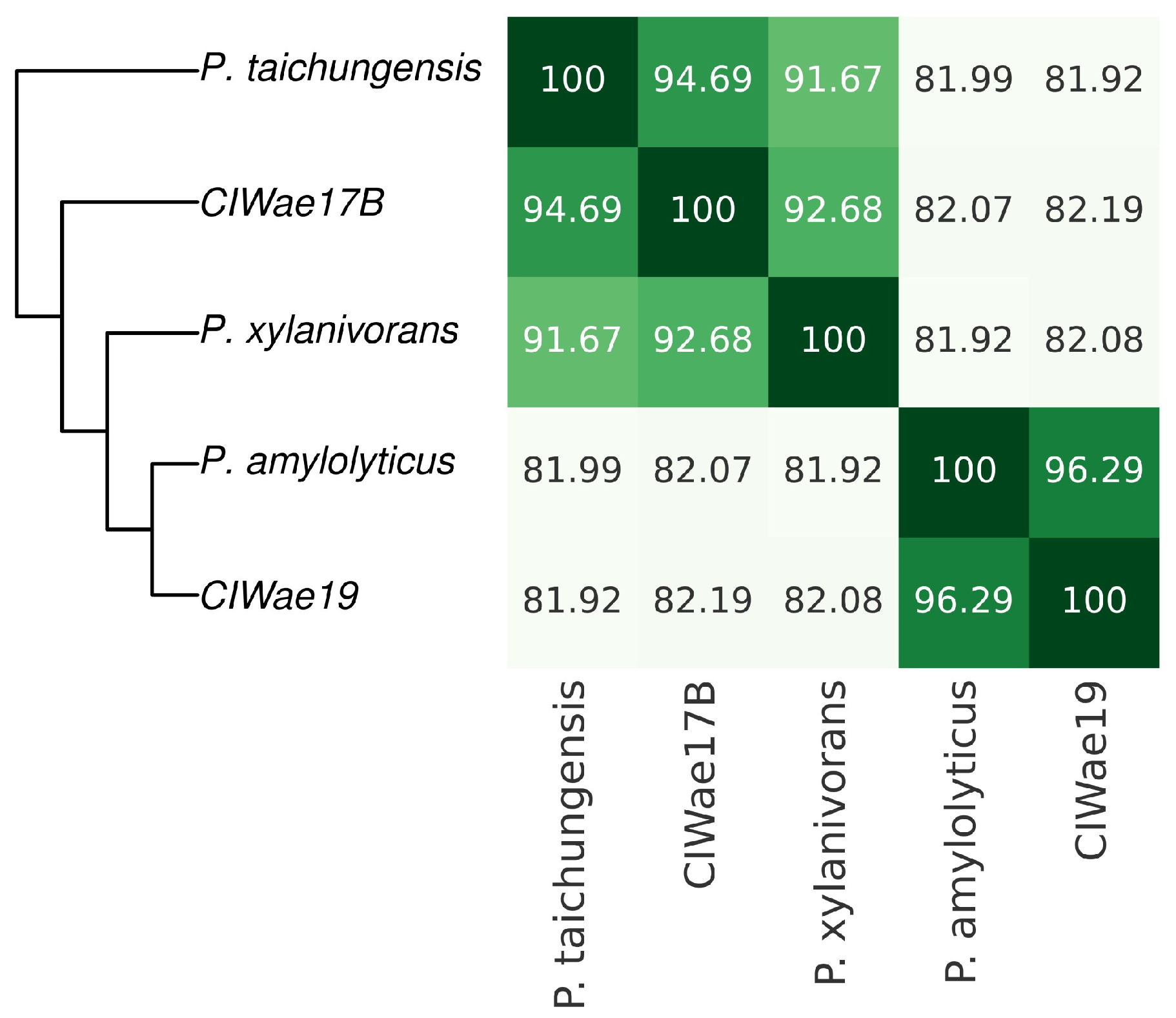 Vetsci 12 00051 g005