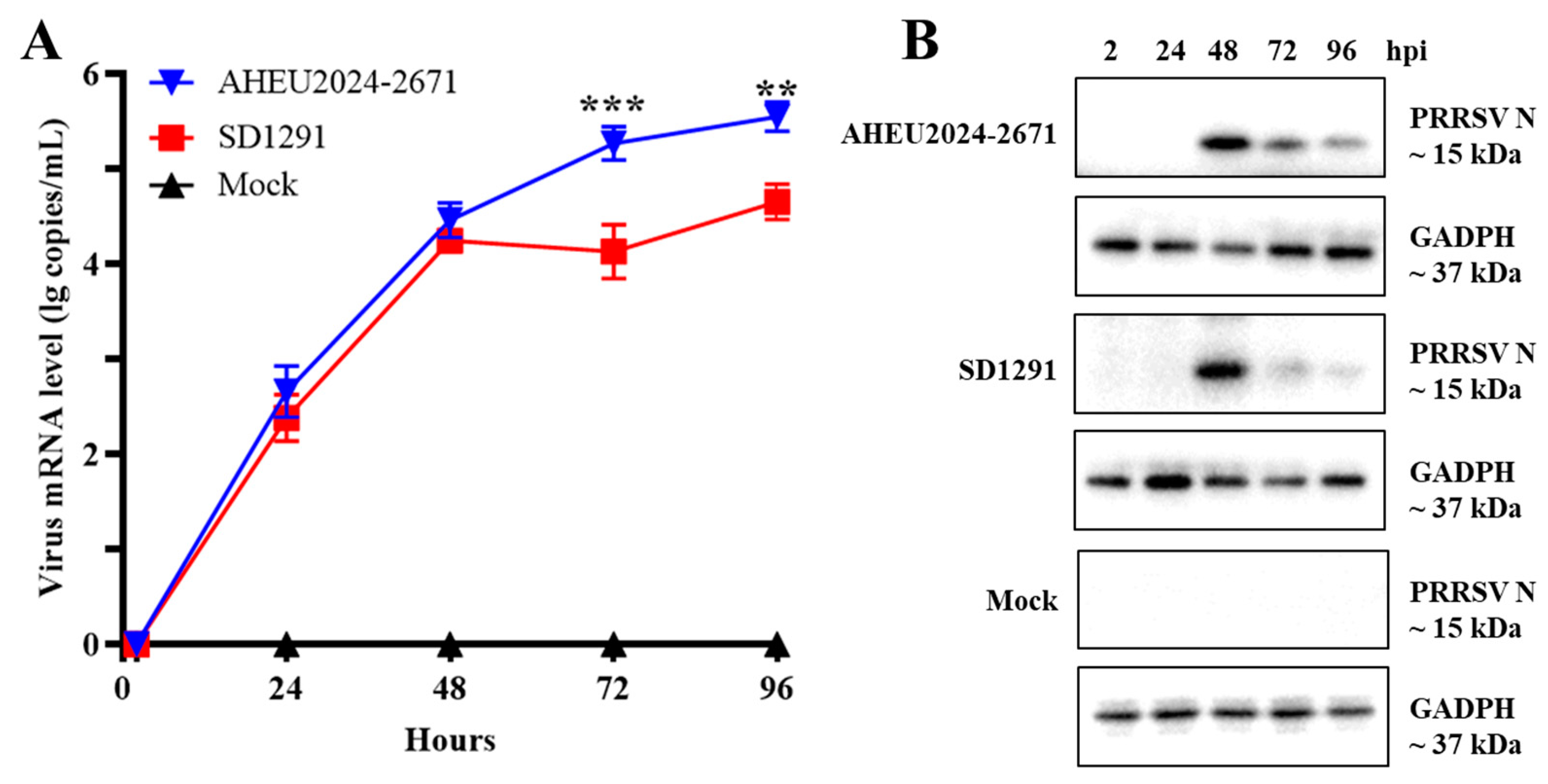 Vetsci 12 00061 g003 Vetsci 12 00061 g003