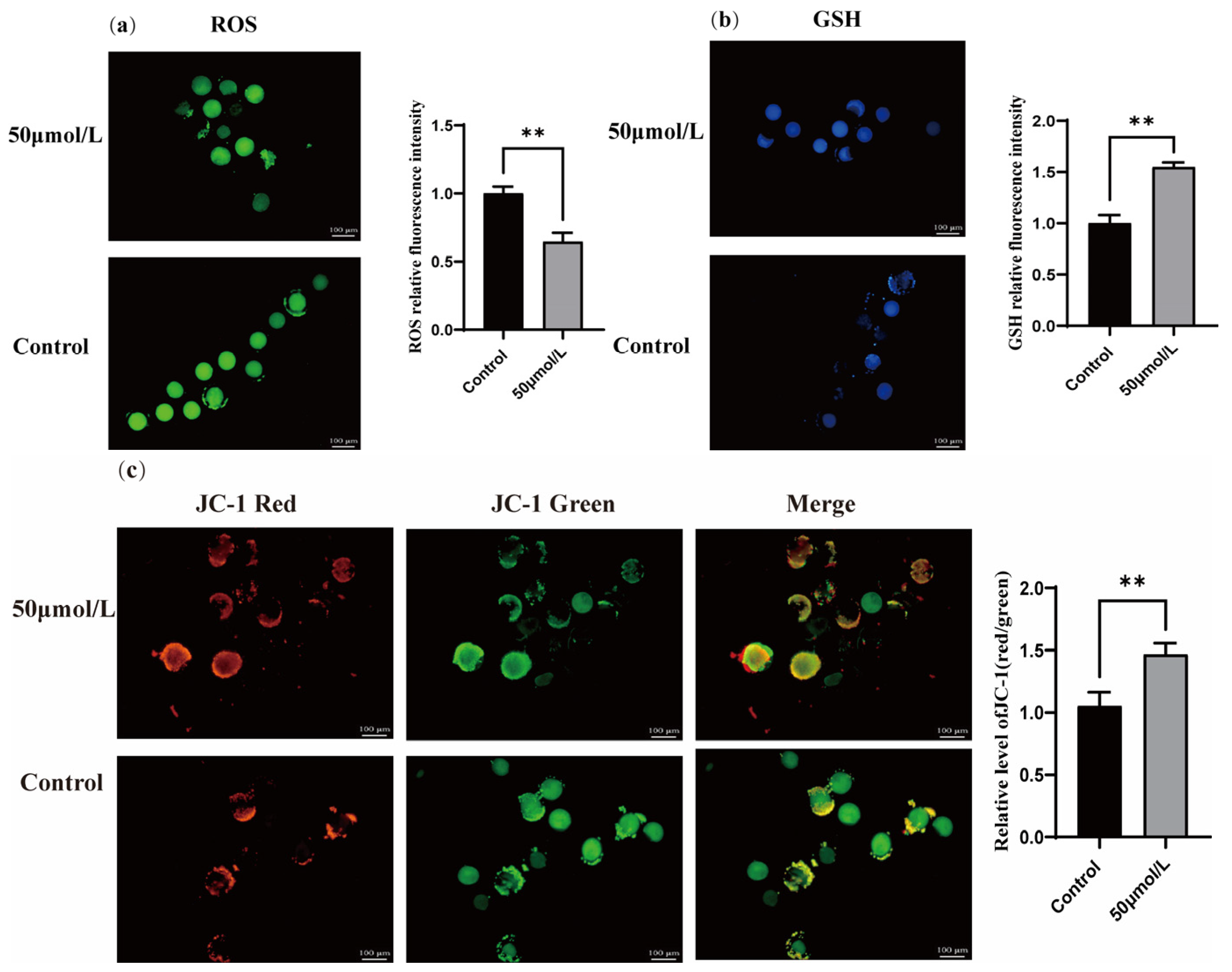 Vetsci 12 00062 g005