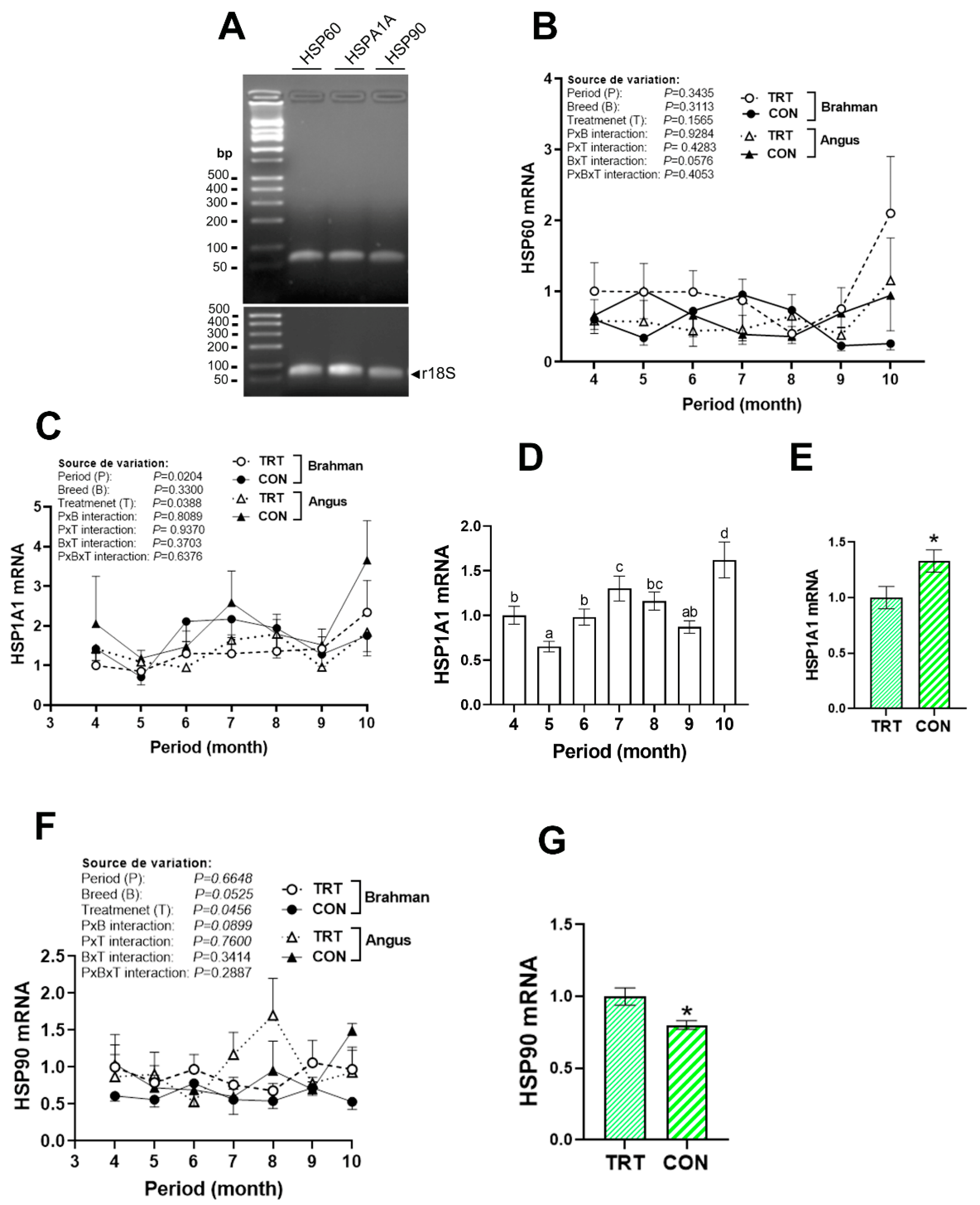 Vetsci 12 00065 g002 Vetsci 12 00065 g002