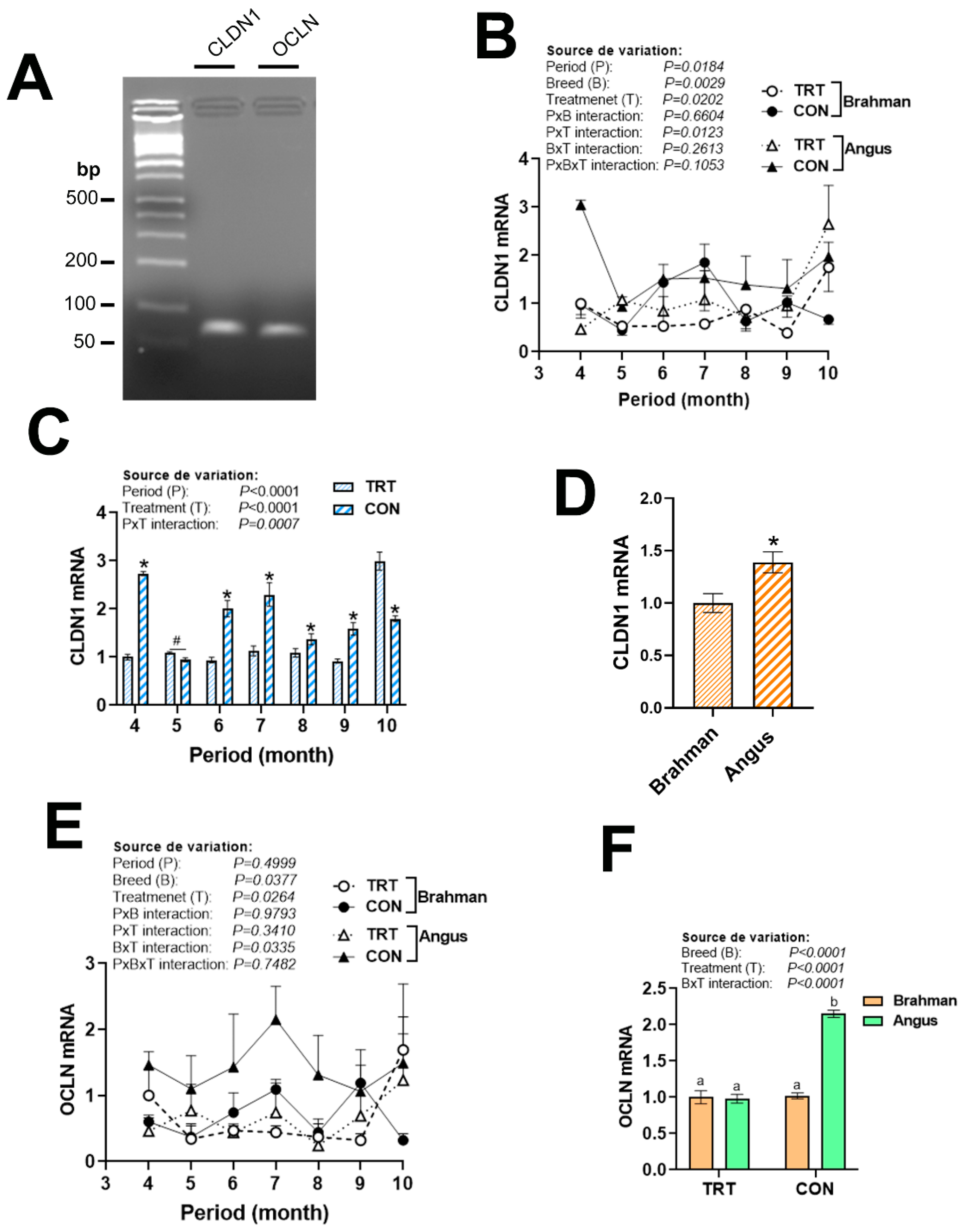 Vetsci 12 00065 g008 Vetsci 12 00065 g008