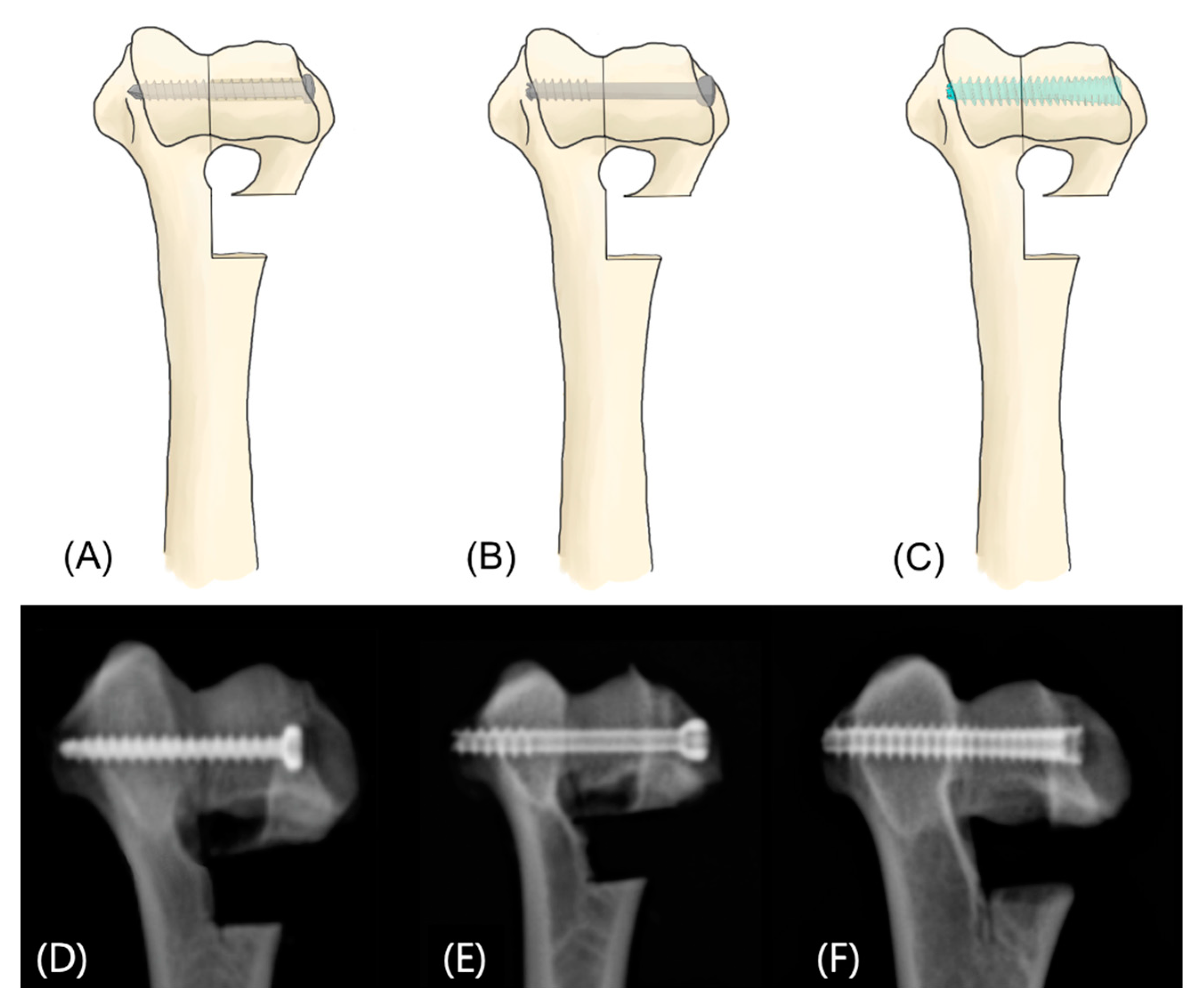 Vetsci 12 00072 g003