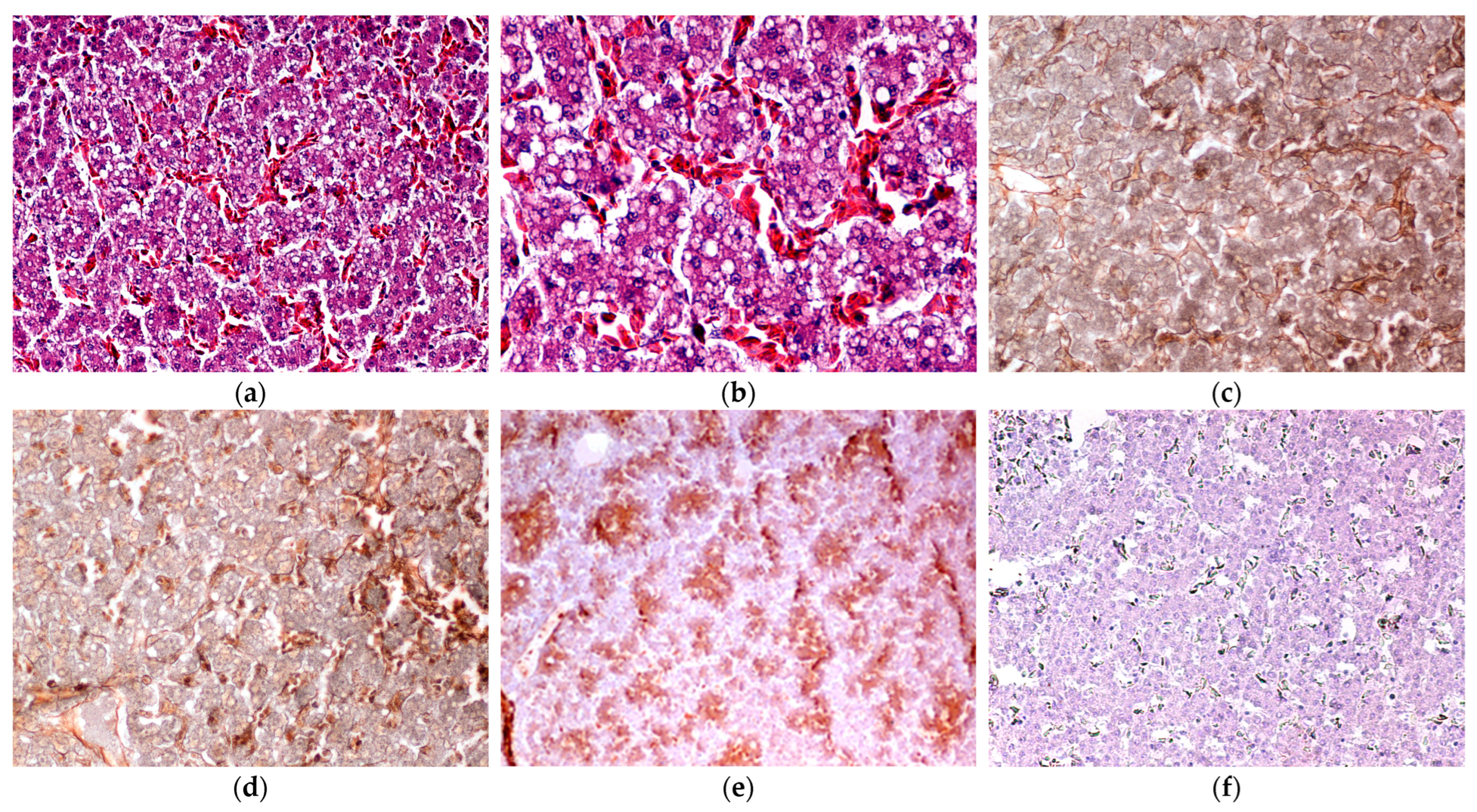 Vetsci 12 00077 g003