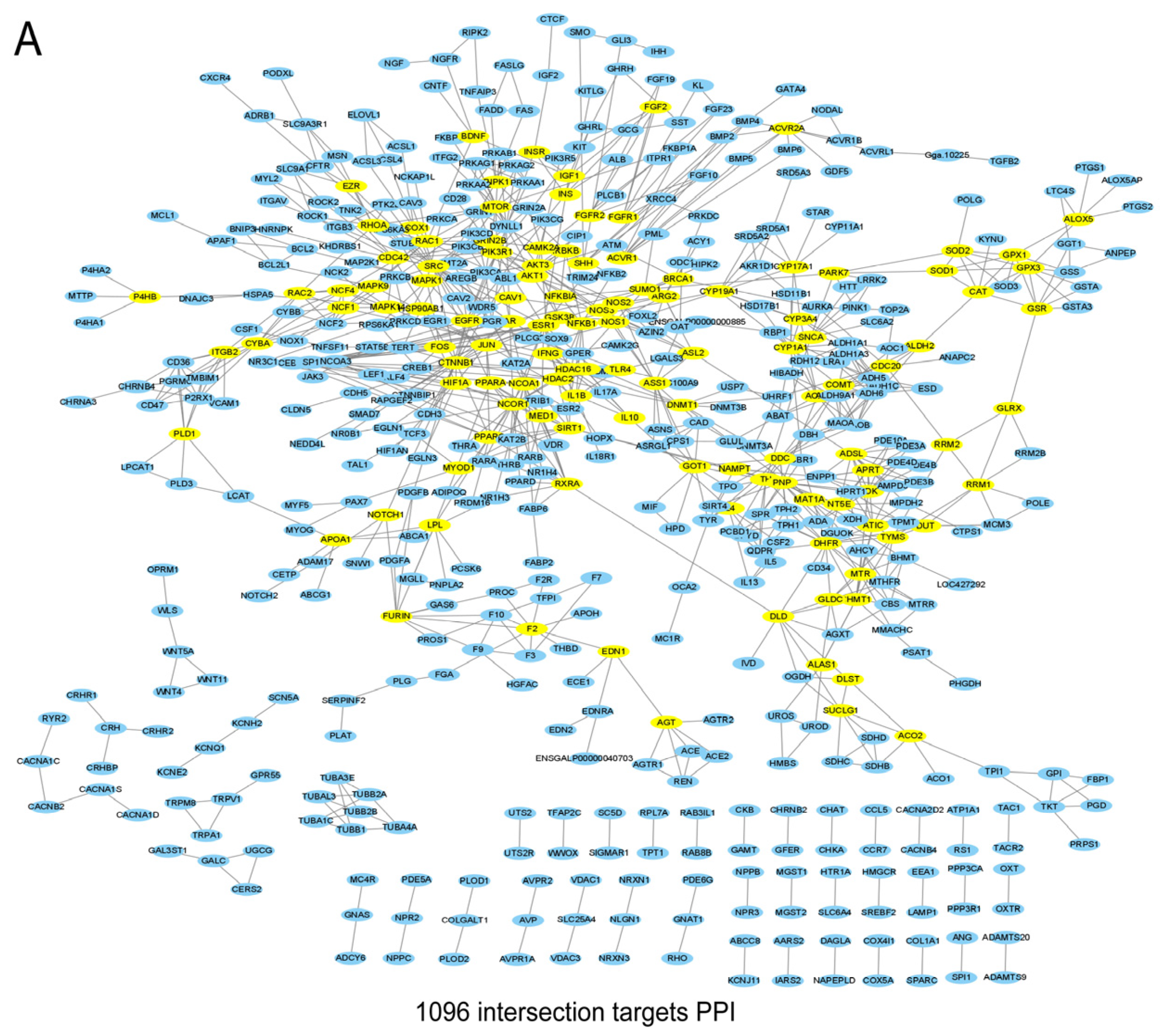 Vetsci 12 00078 g002a