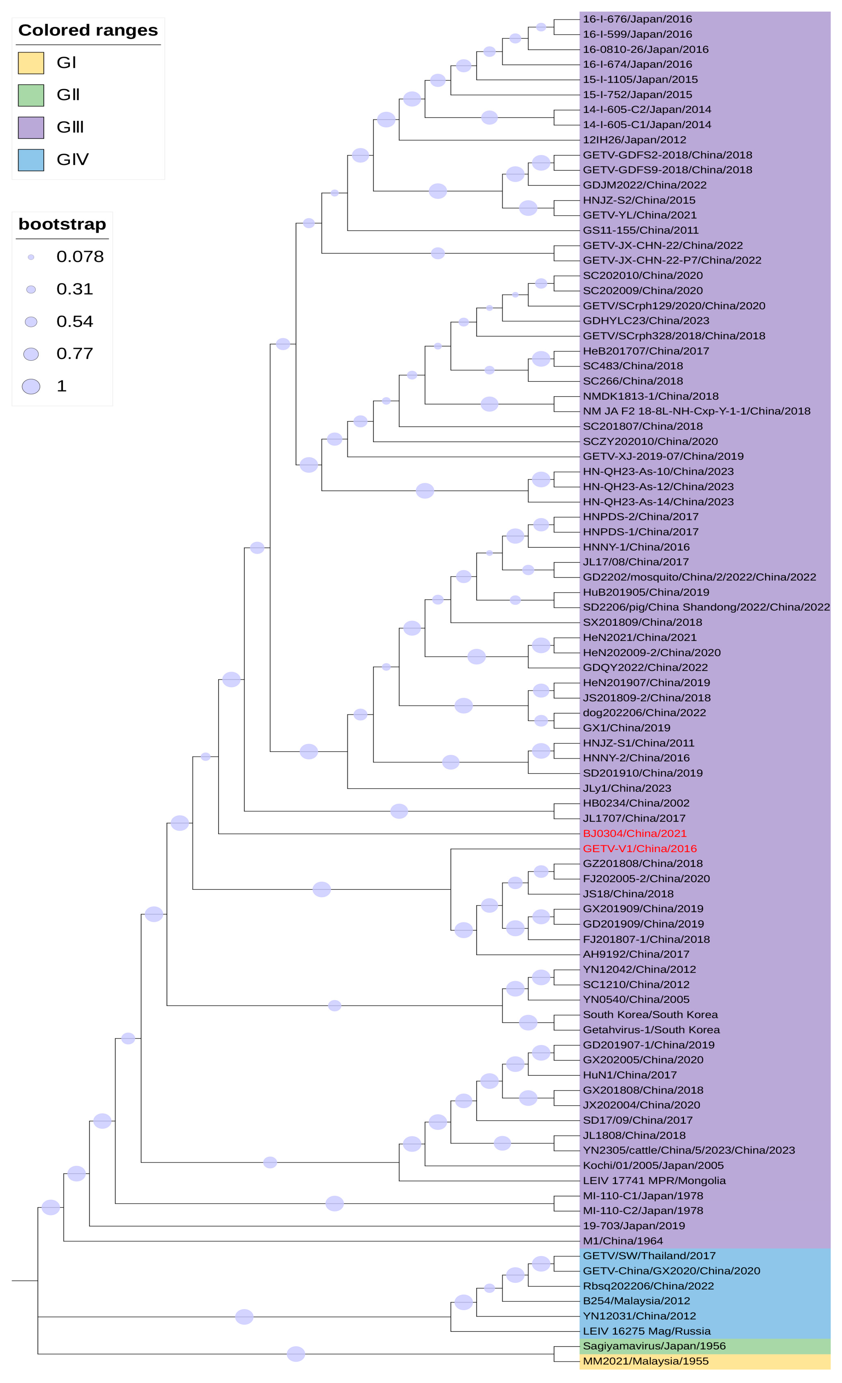 Vetsci 12 00082 g001
