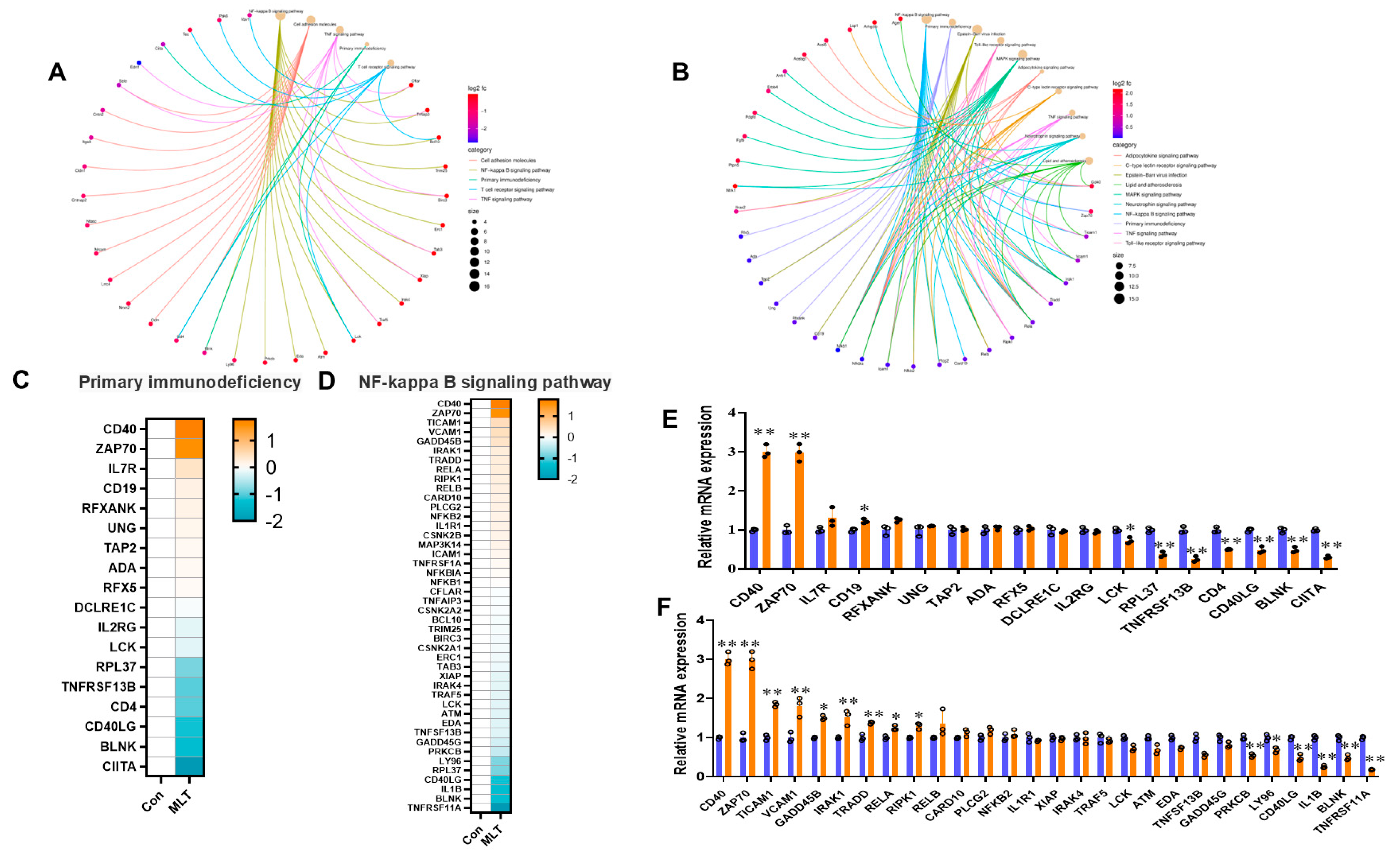 Vetsci 12 00087 g003