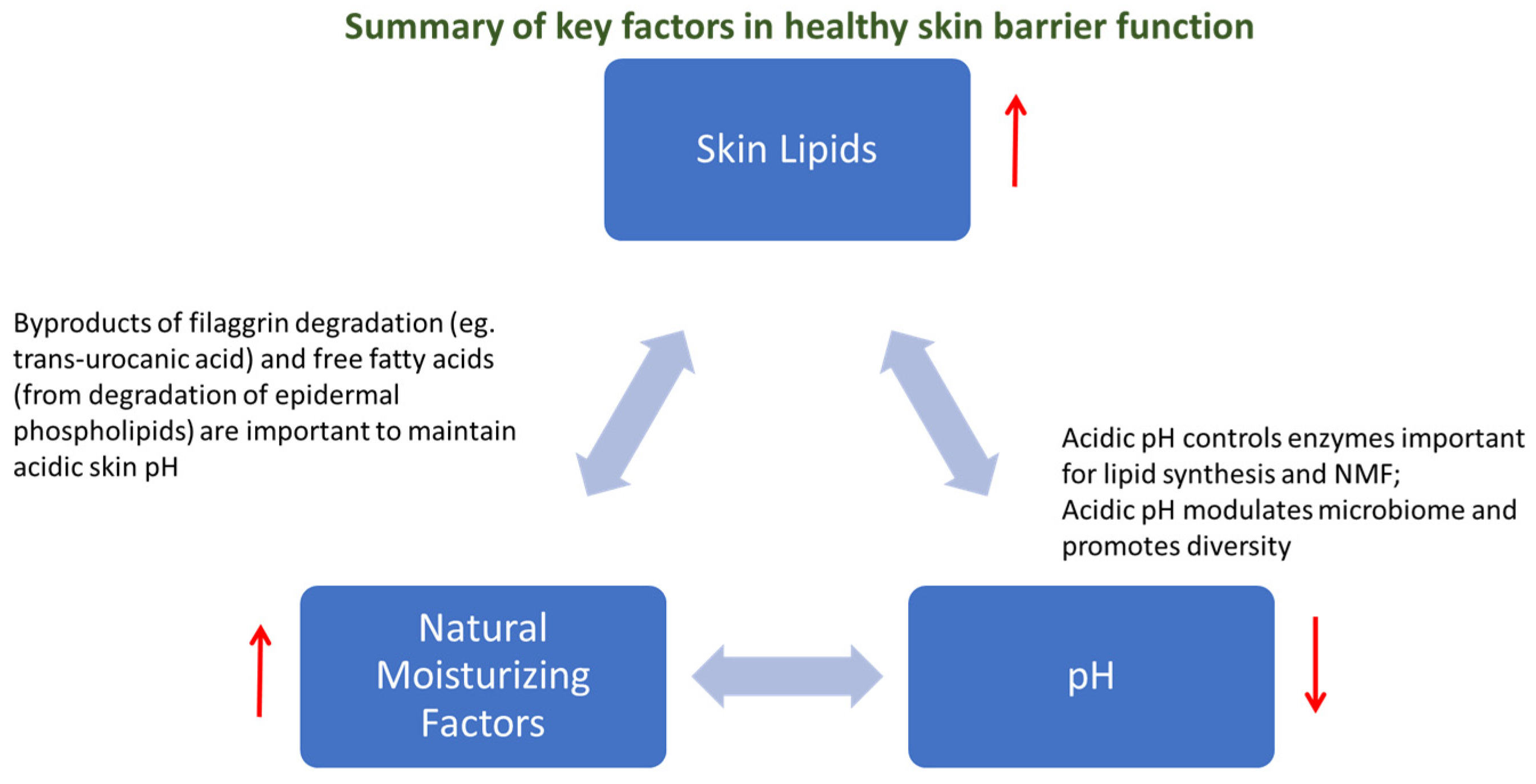 Vetsci 12 00091 g001