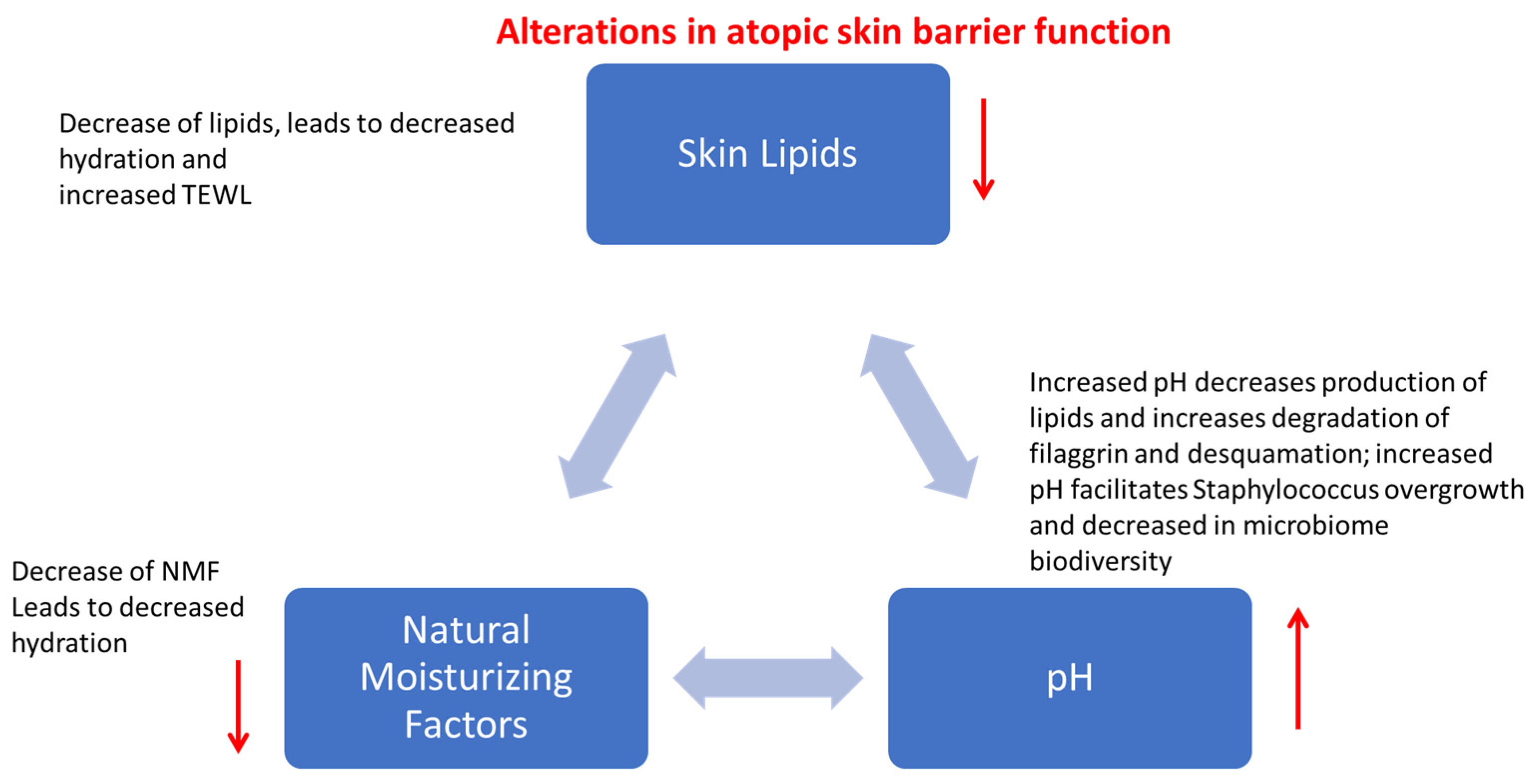 Vetsci 12 00091 g002
