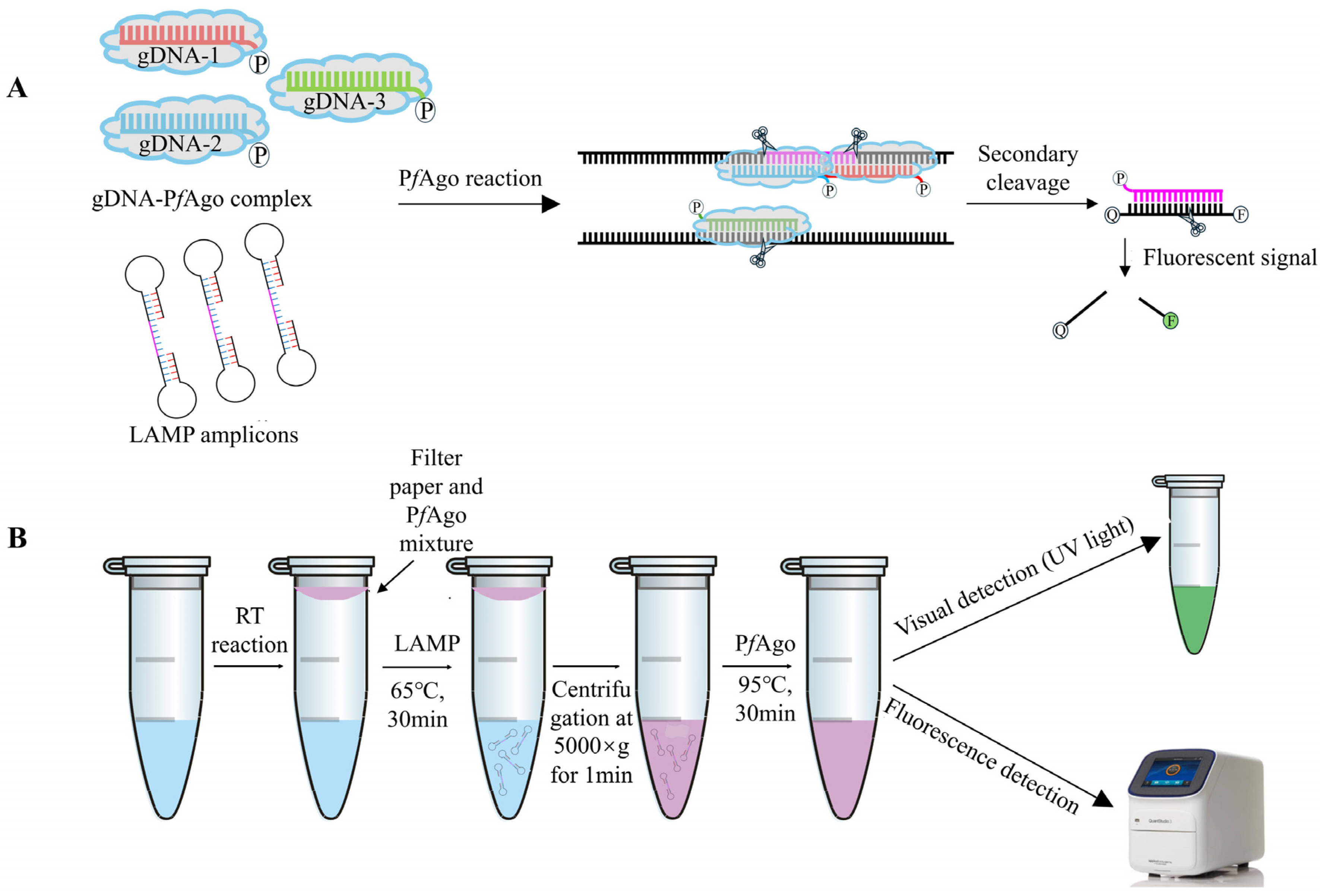Vetsci 12 00093 g001 Vetsci 12 00093 g001