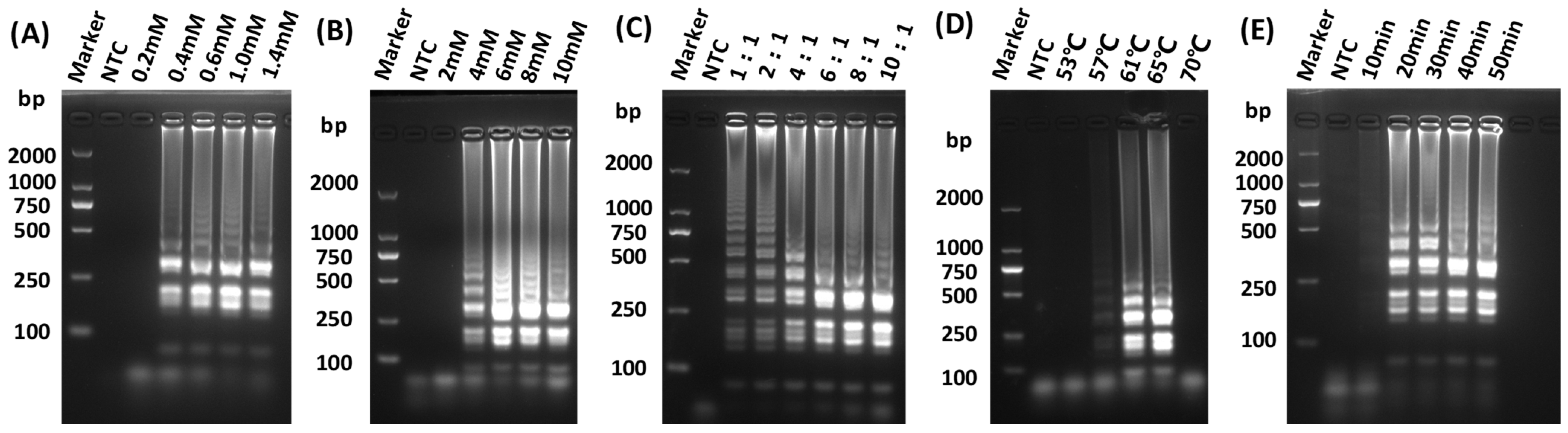 Vetsci 12 00093 g002 Vetsci 12 00093 g002