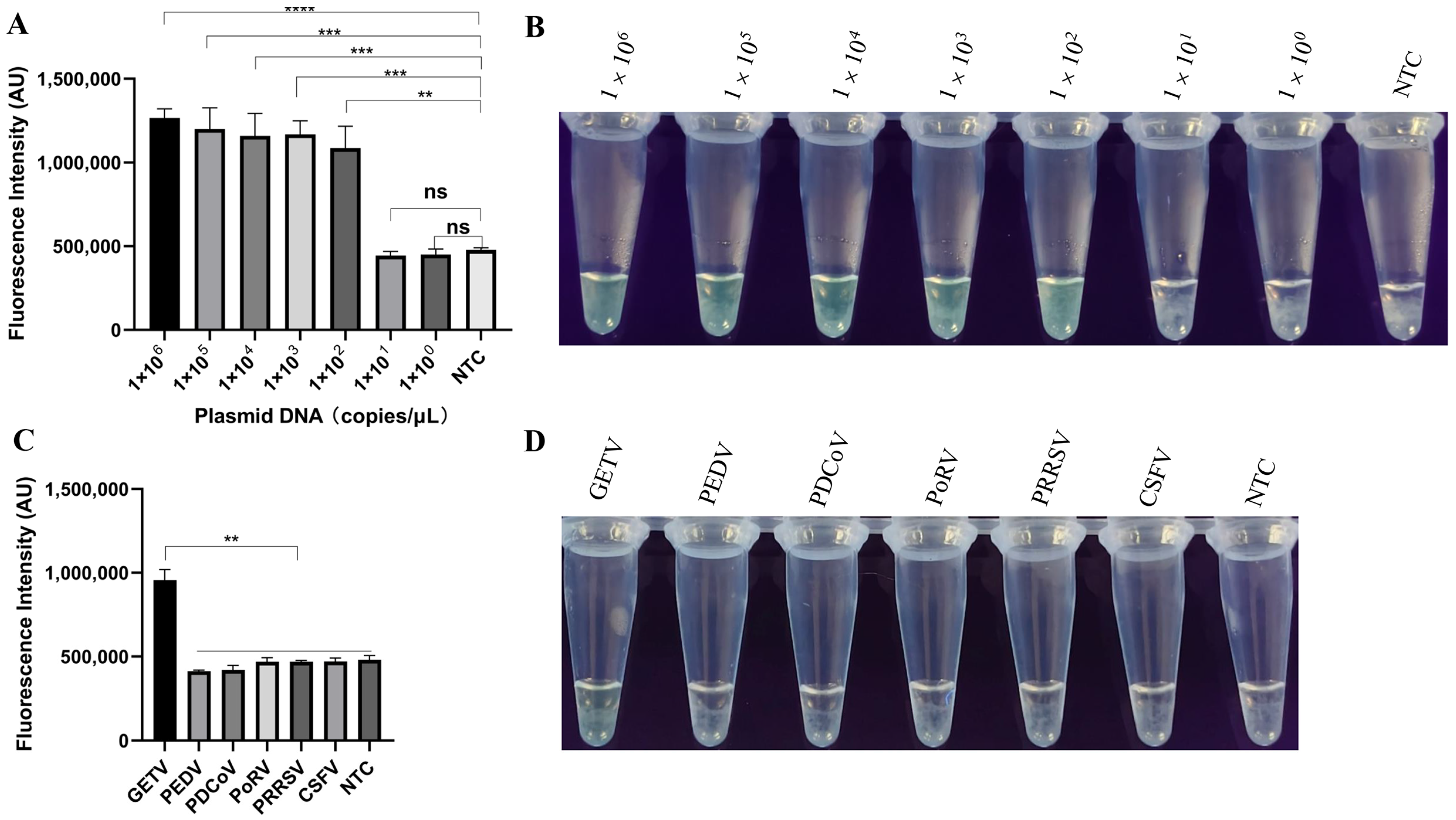 Vetsci 12 00093 g004 Vetsci 12 00093 g004