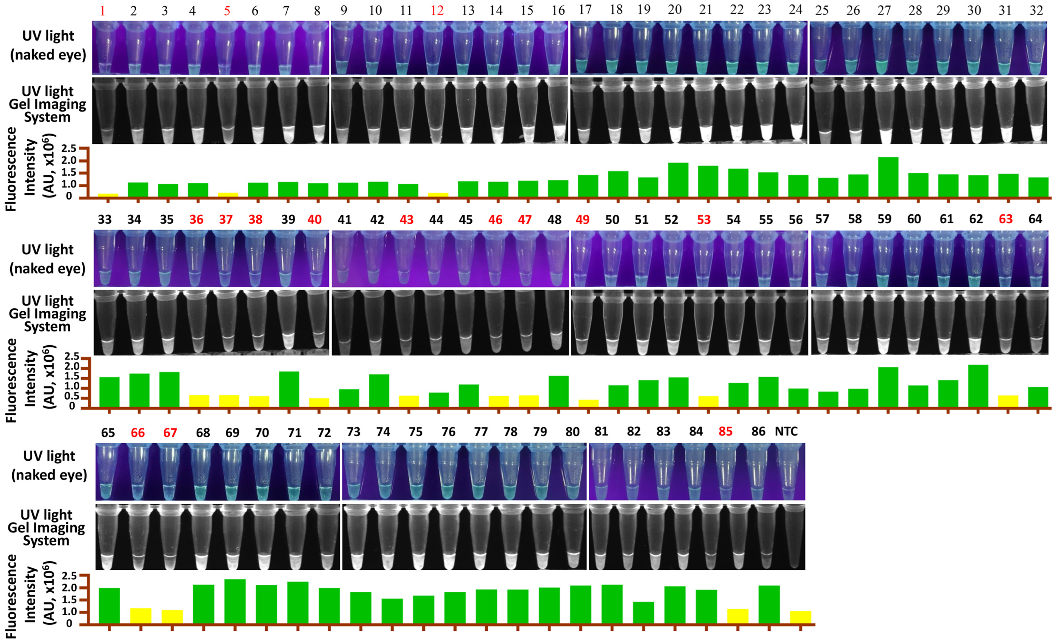 Vetsci 12 00093 g005 Vetsci 12 00093 g005