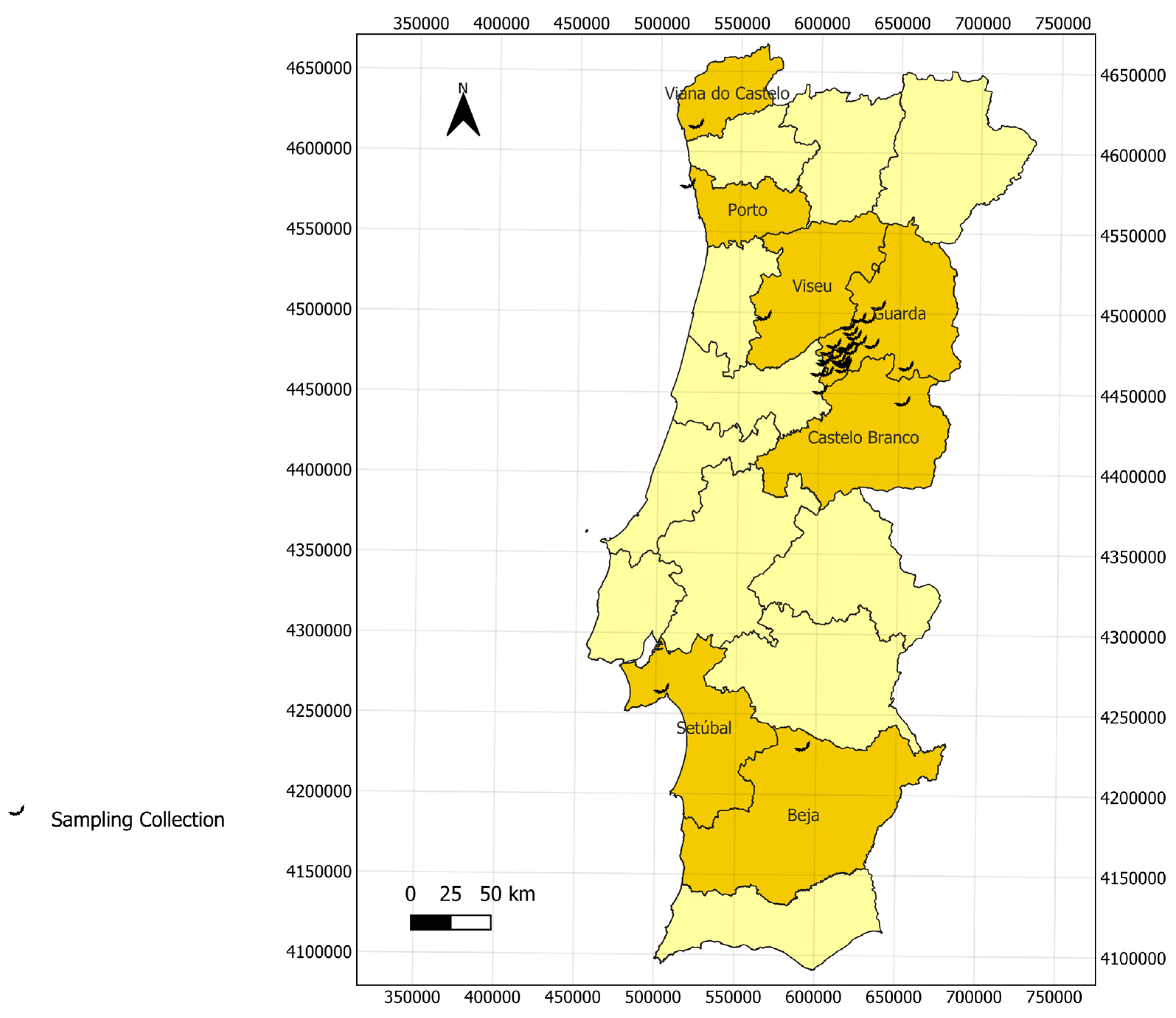 Vetsci 12 00094 g001 Vetsci 12 00094 g001
