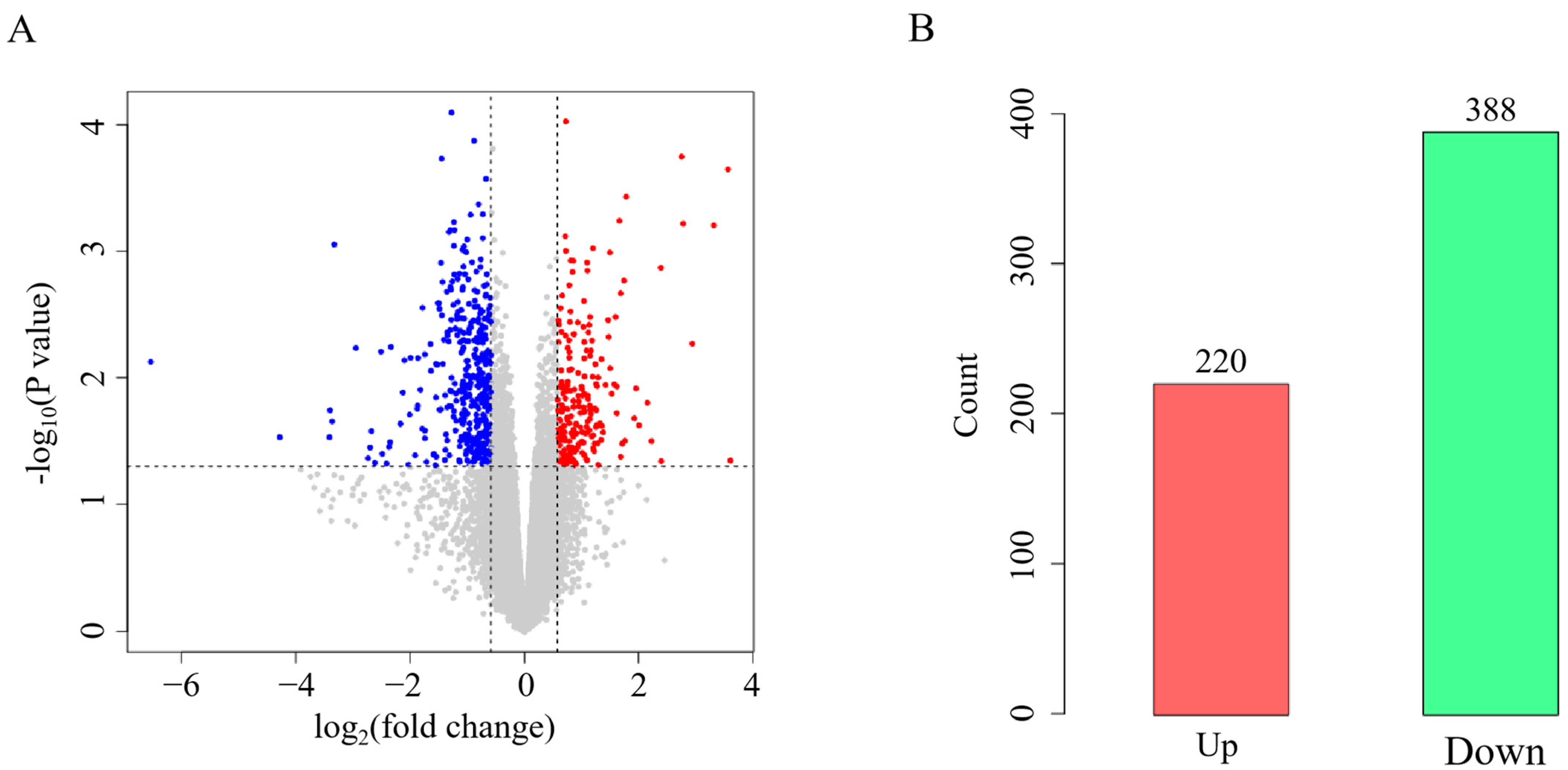 Vetsci 12 00095 g004