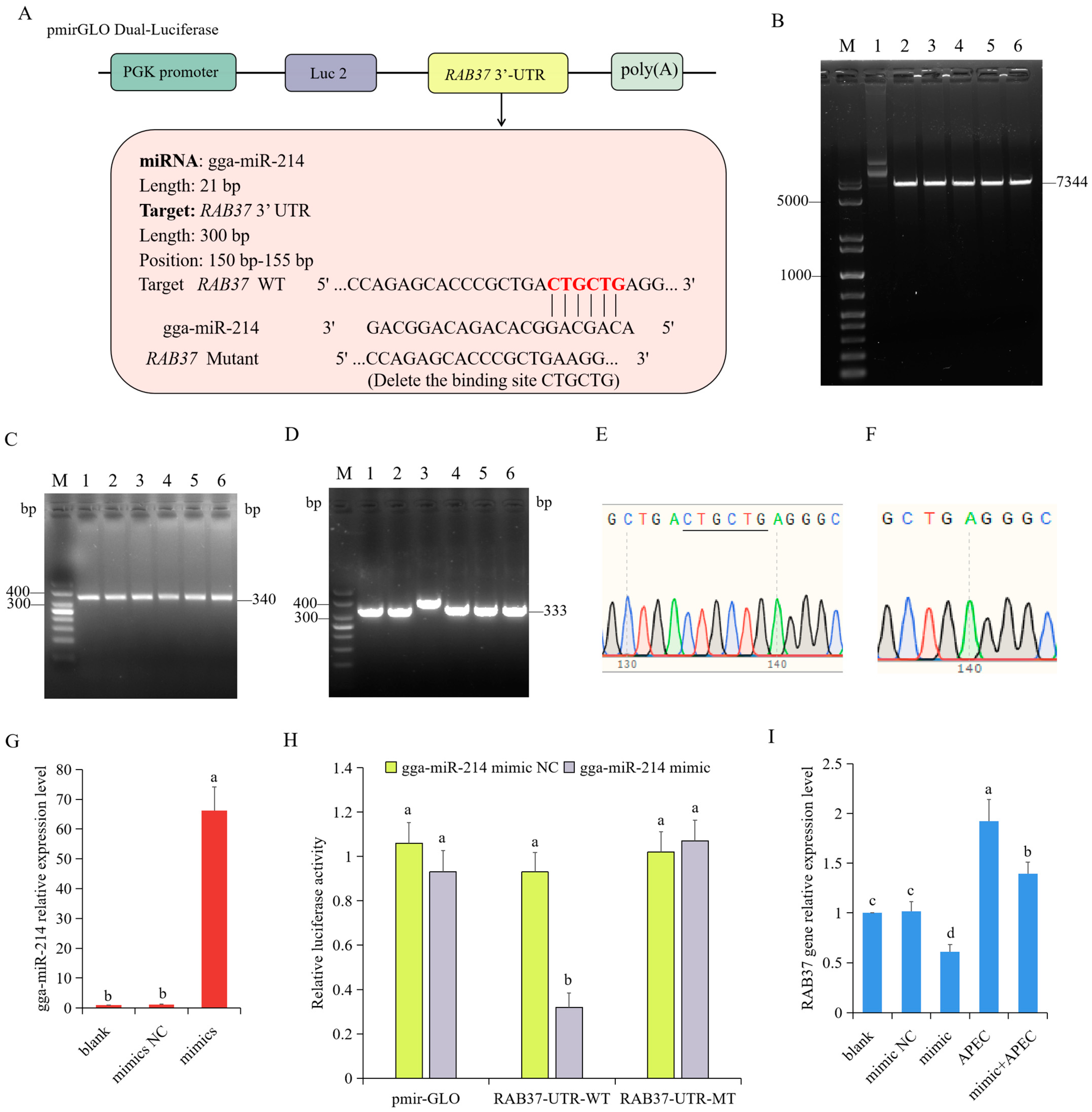 Vetsci 12 00095 g005