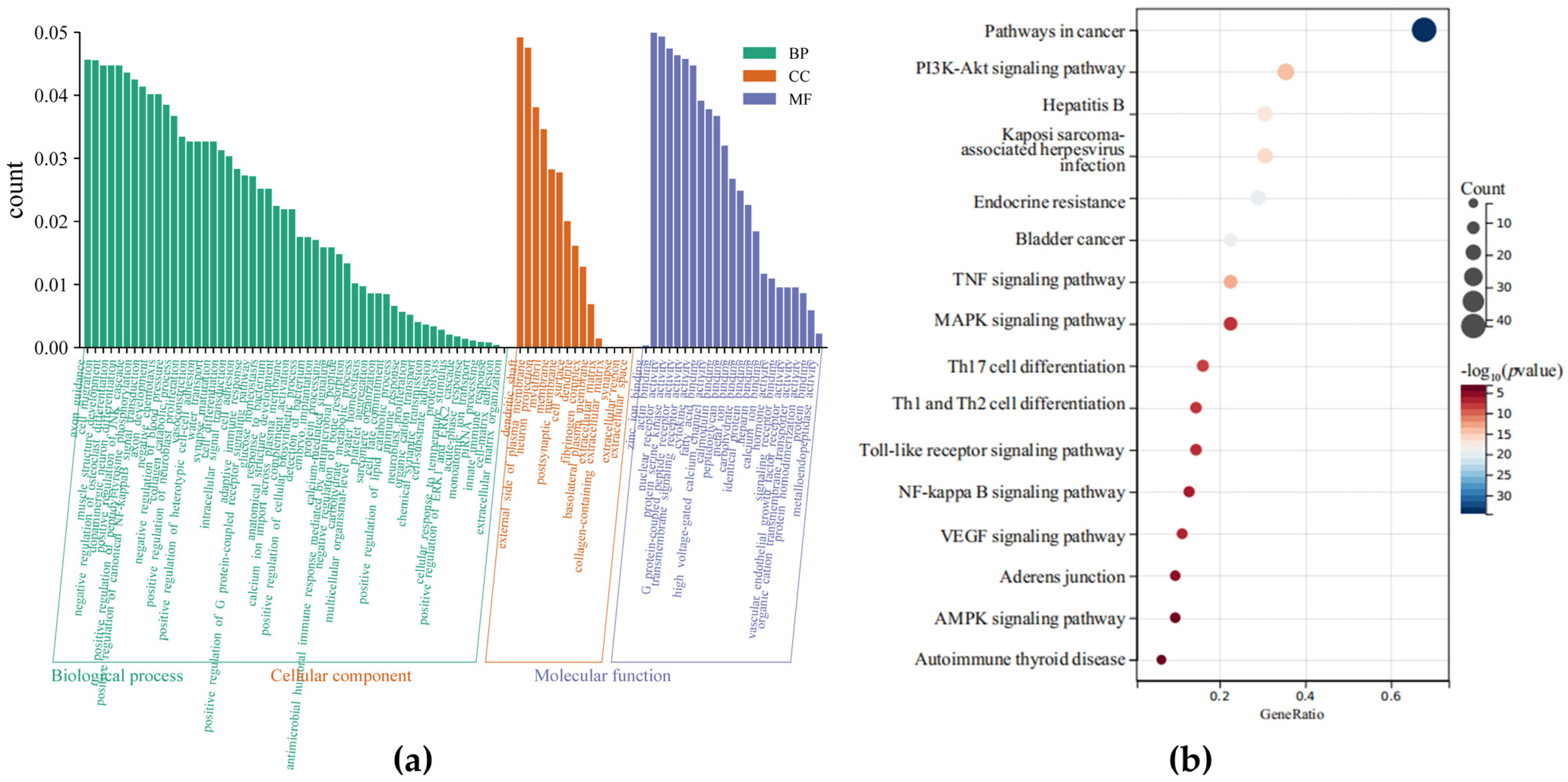 Vetsci 12 00096 g001