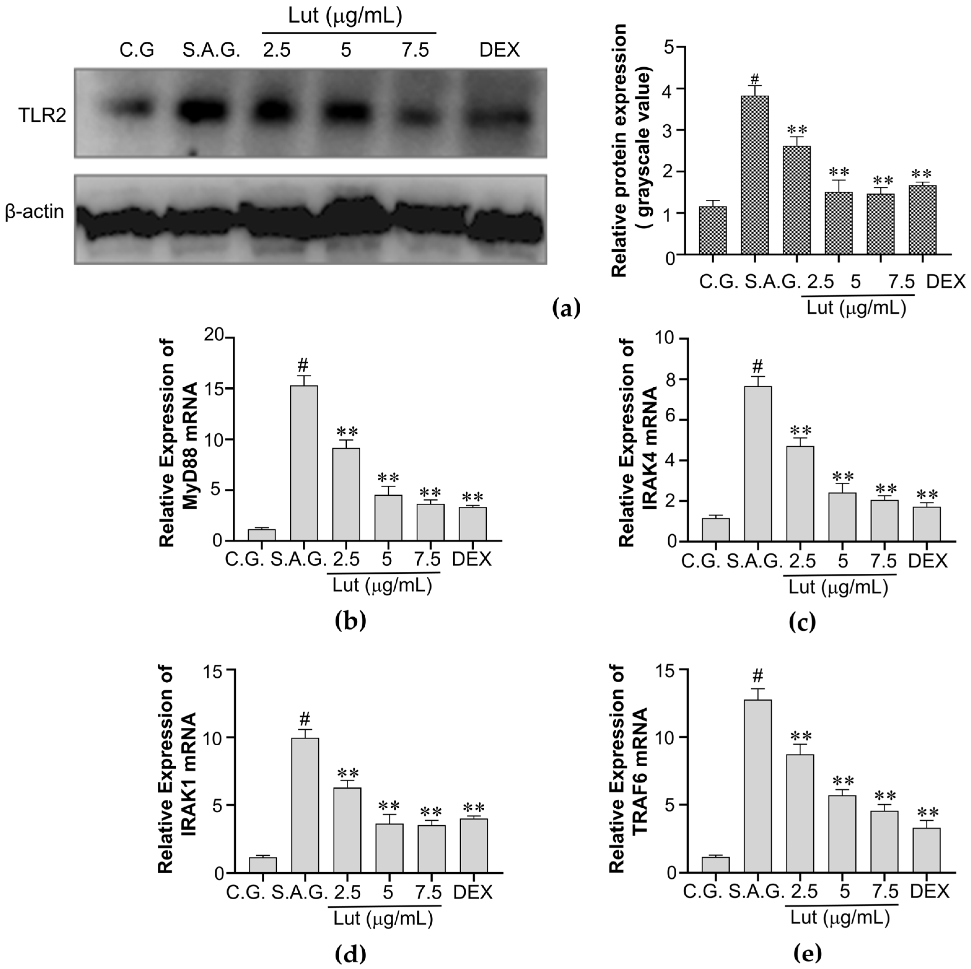 Vetsci 12 00096 g005