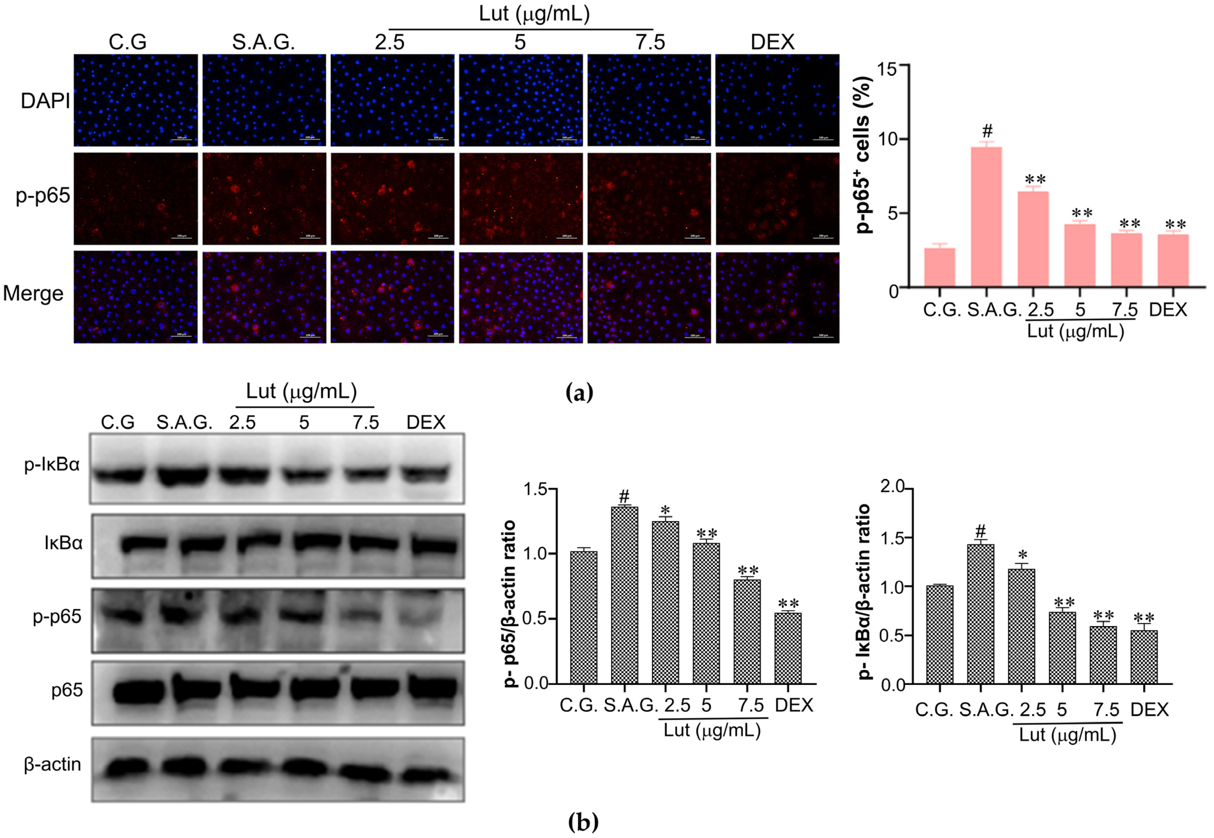 Vetsci 12 00096 g006