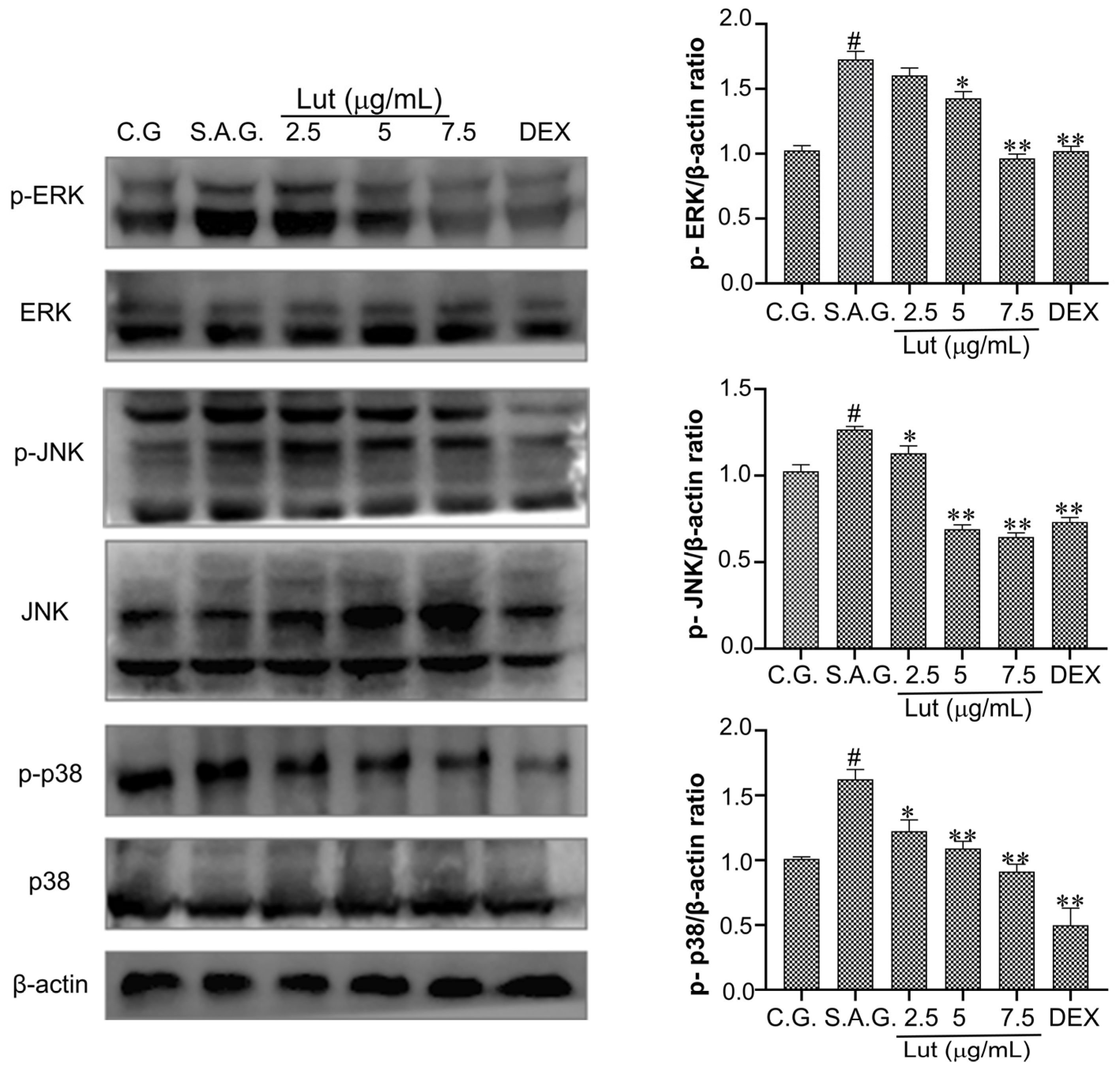 Vetsci 12 00096 g007