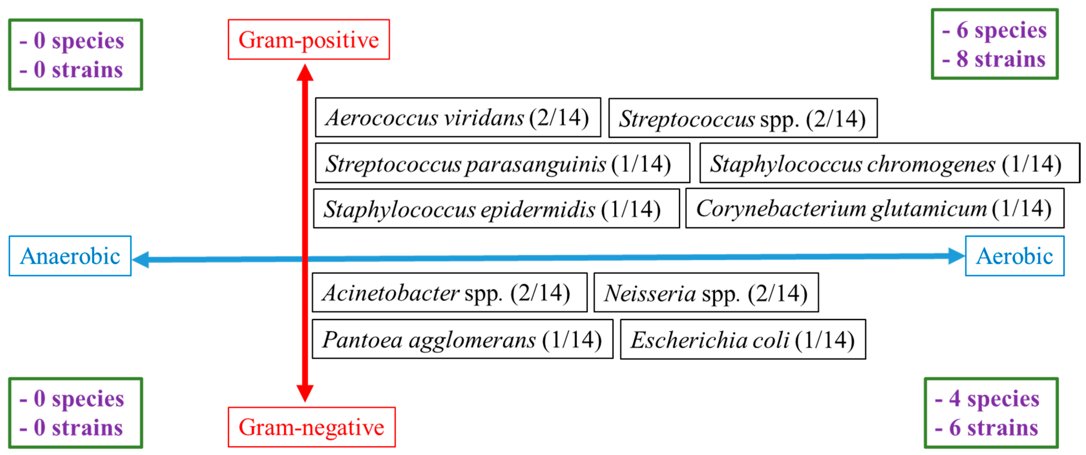 Vetsci 12 00098 g001