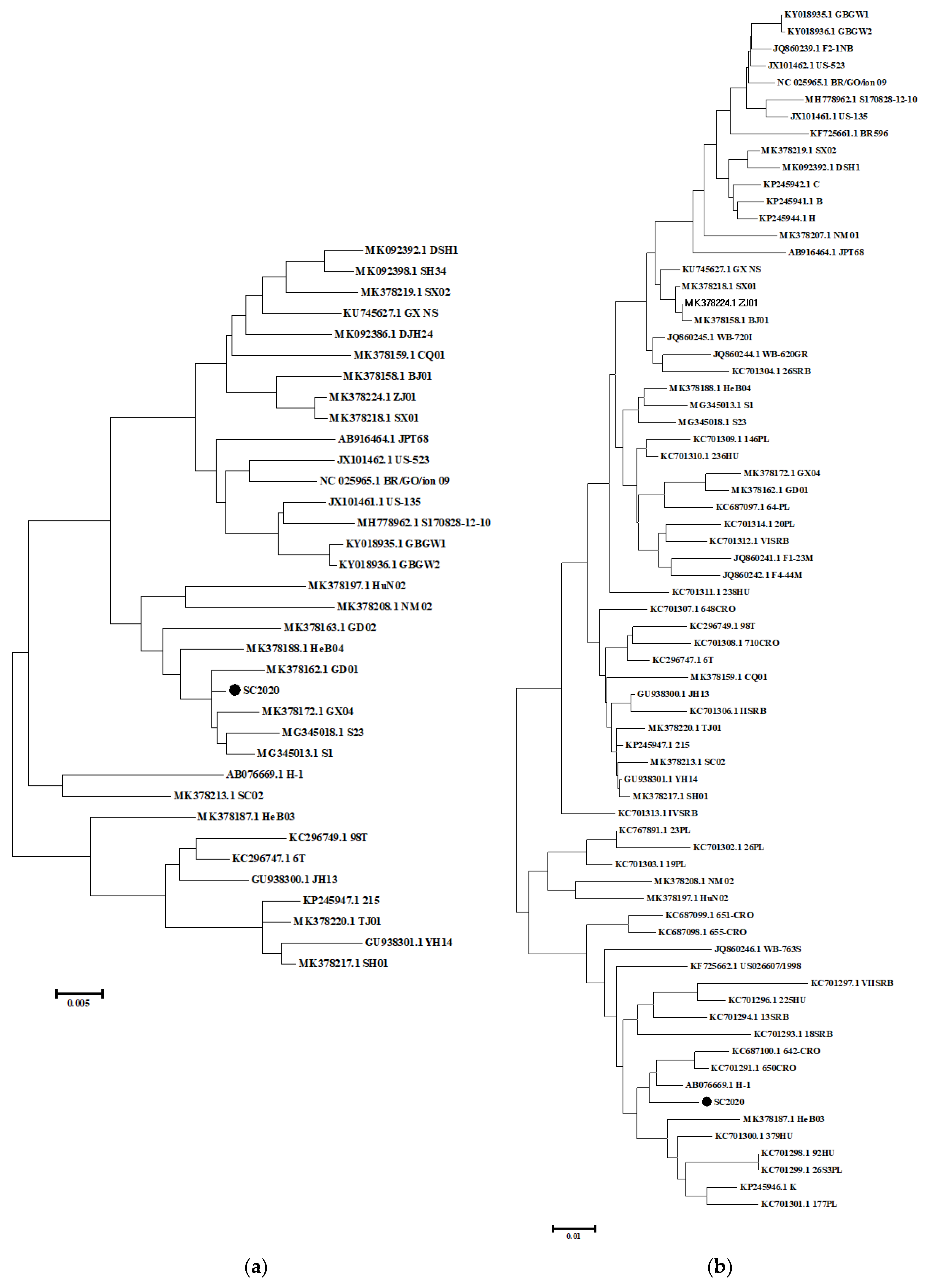 Vetsci 12 00099 g003