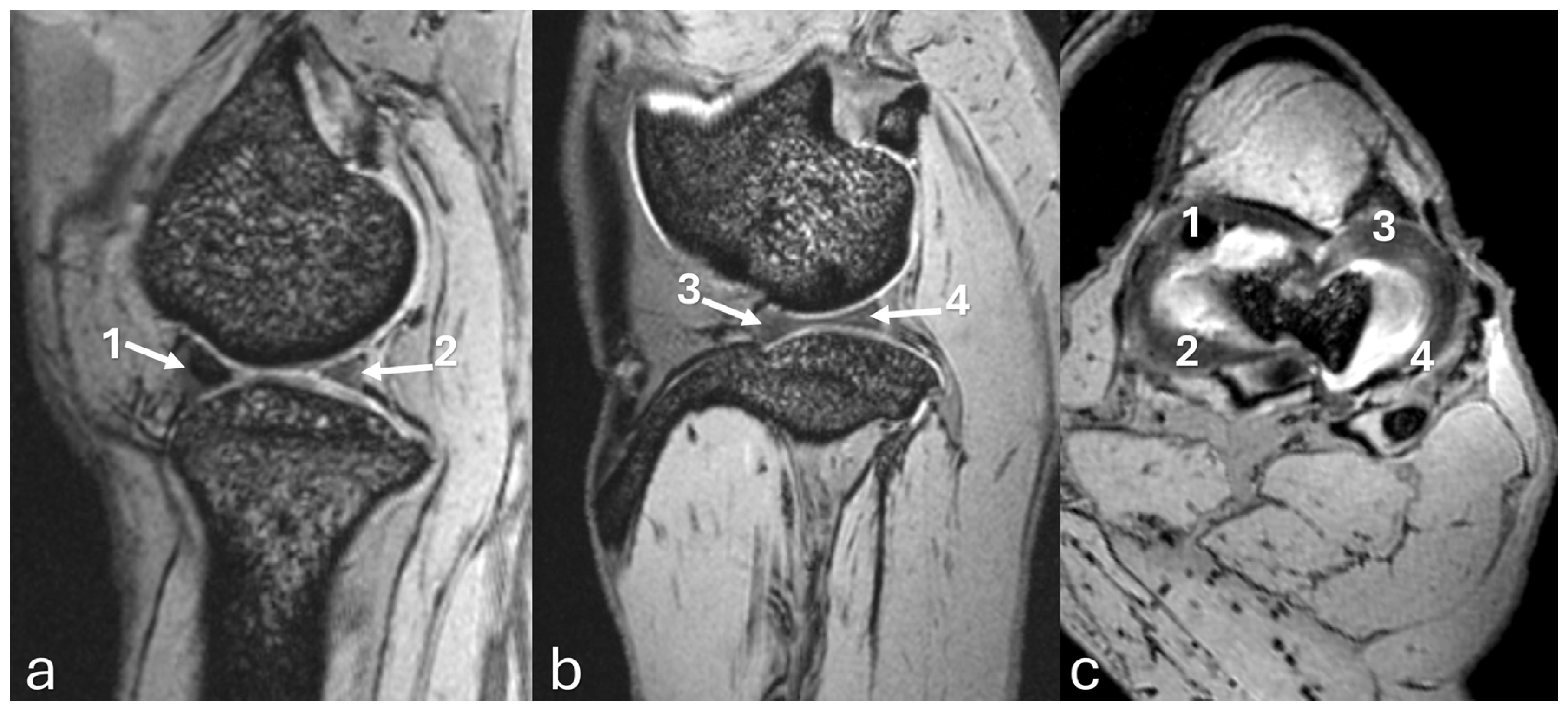 Vetsci 12 00103 g009 Vetsci 12 00103 g009