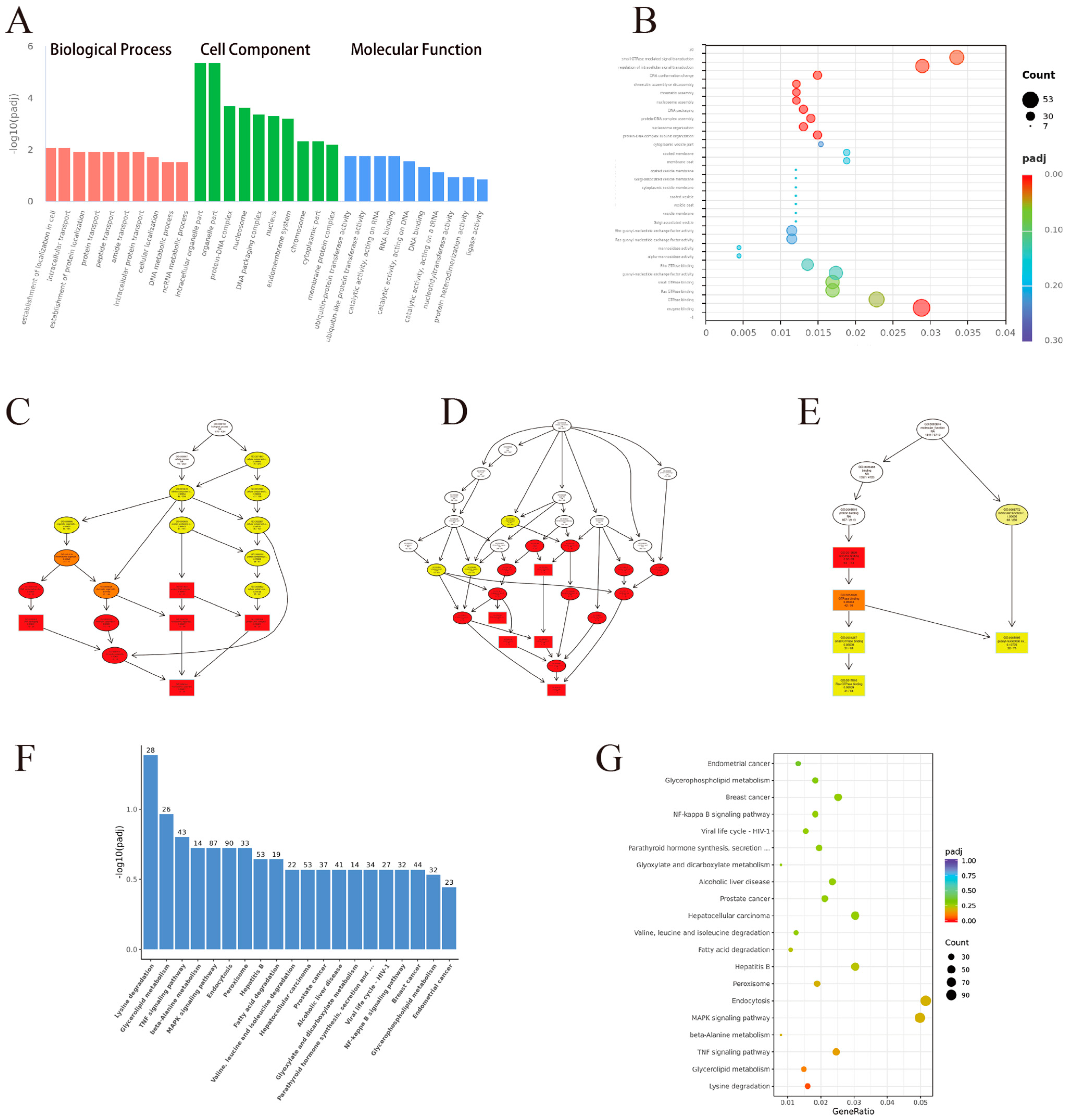 Vetsci 12 00107 g004