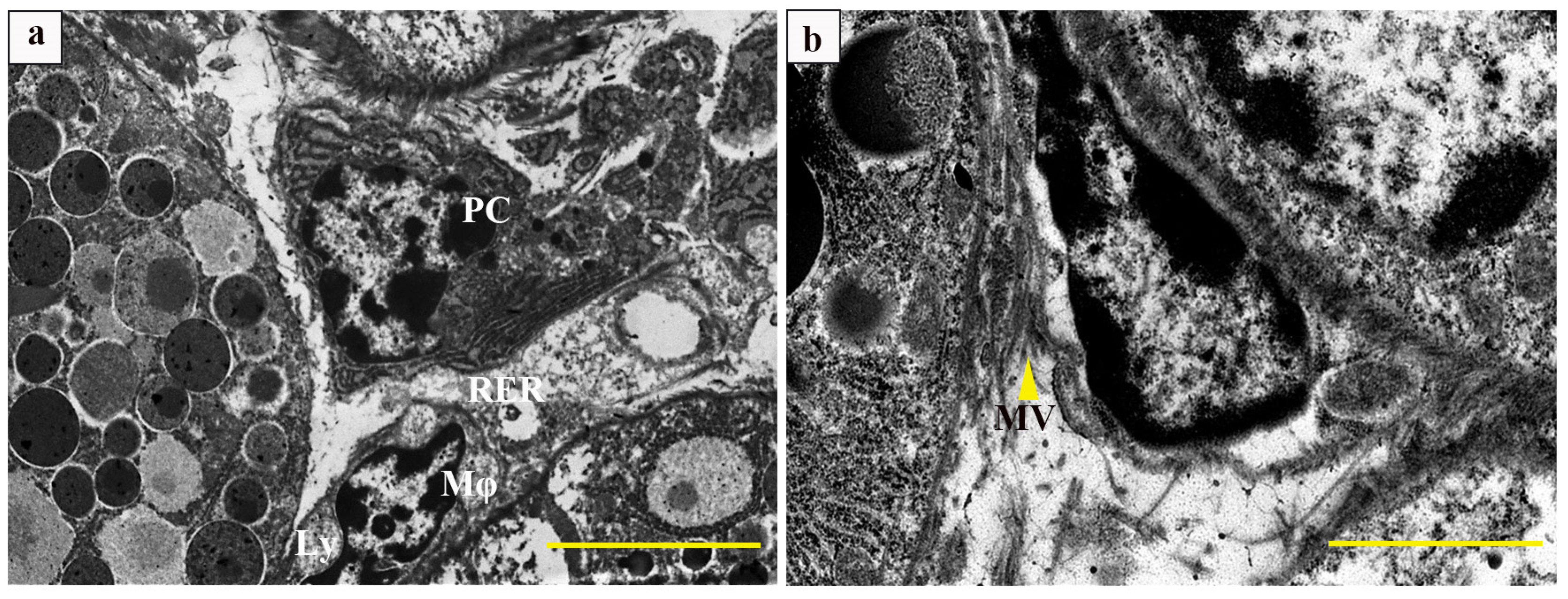 Vetsci 12 00108 g002