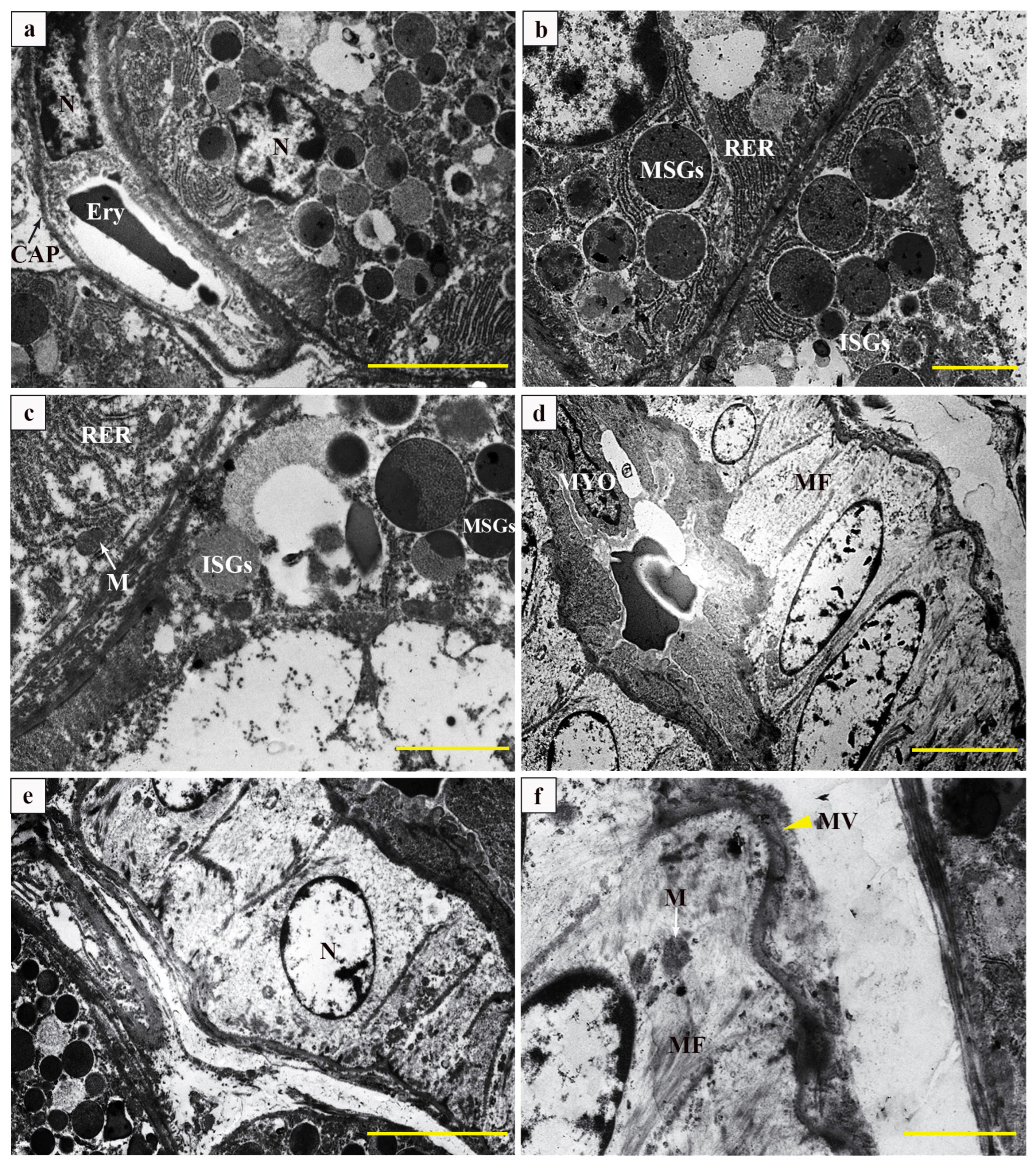 Vetsci 12 00108 g003