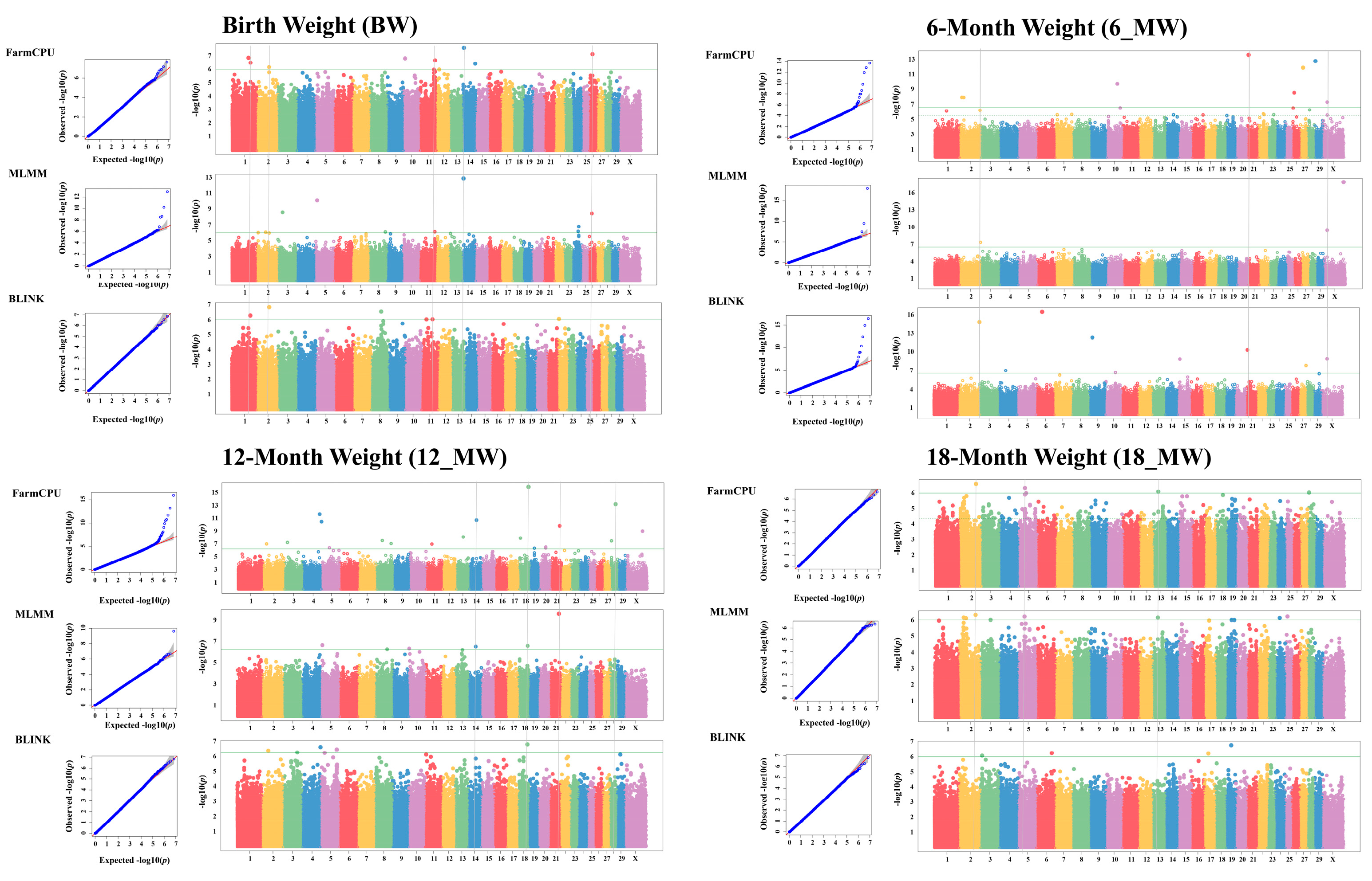 Vetsci 12 00109 g001