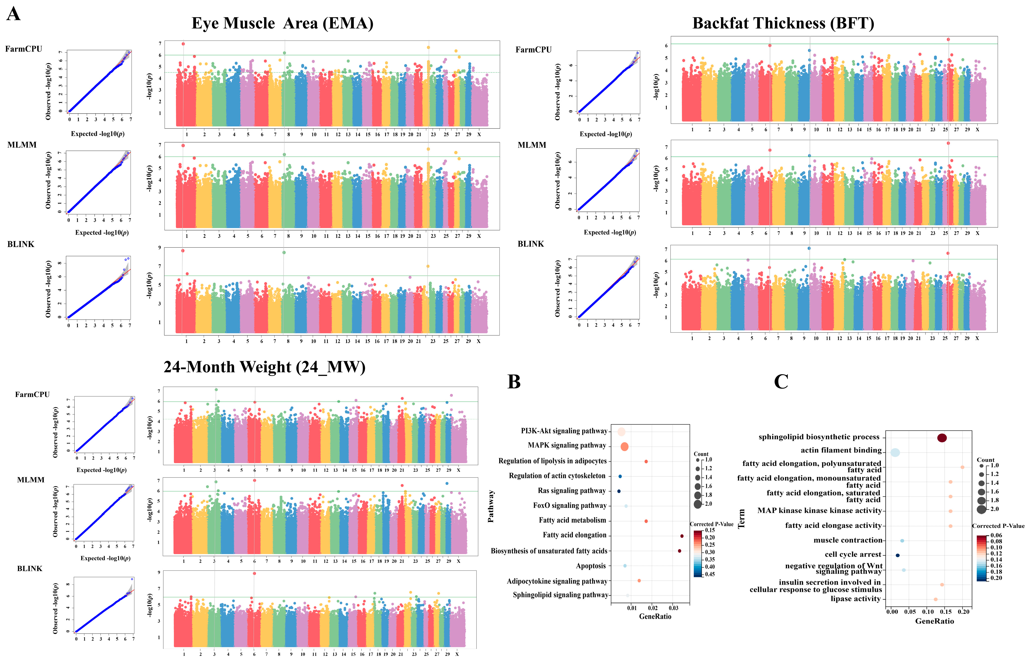 Vetsci 12 00109 g002