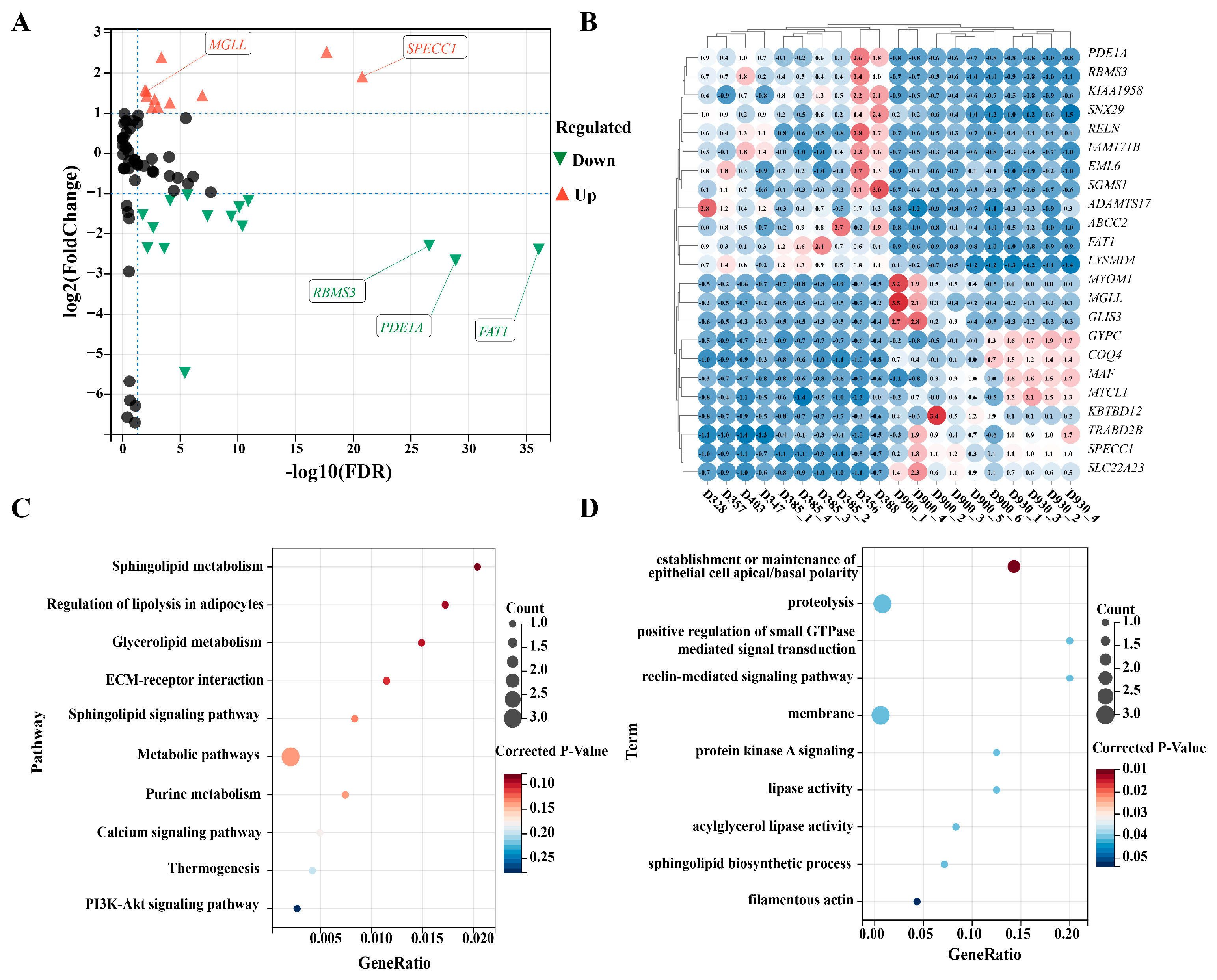 Vetsci 12 00109 g003