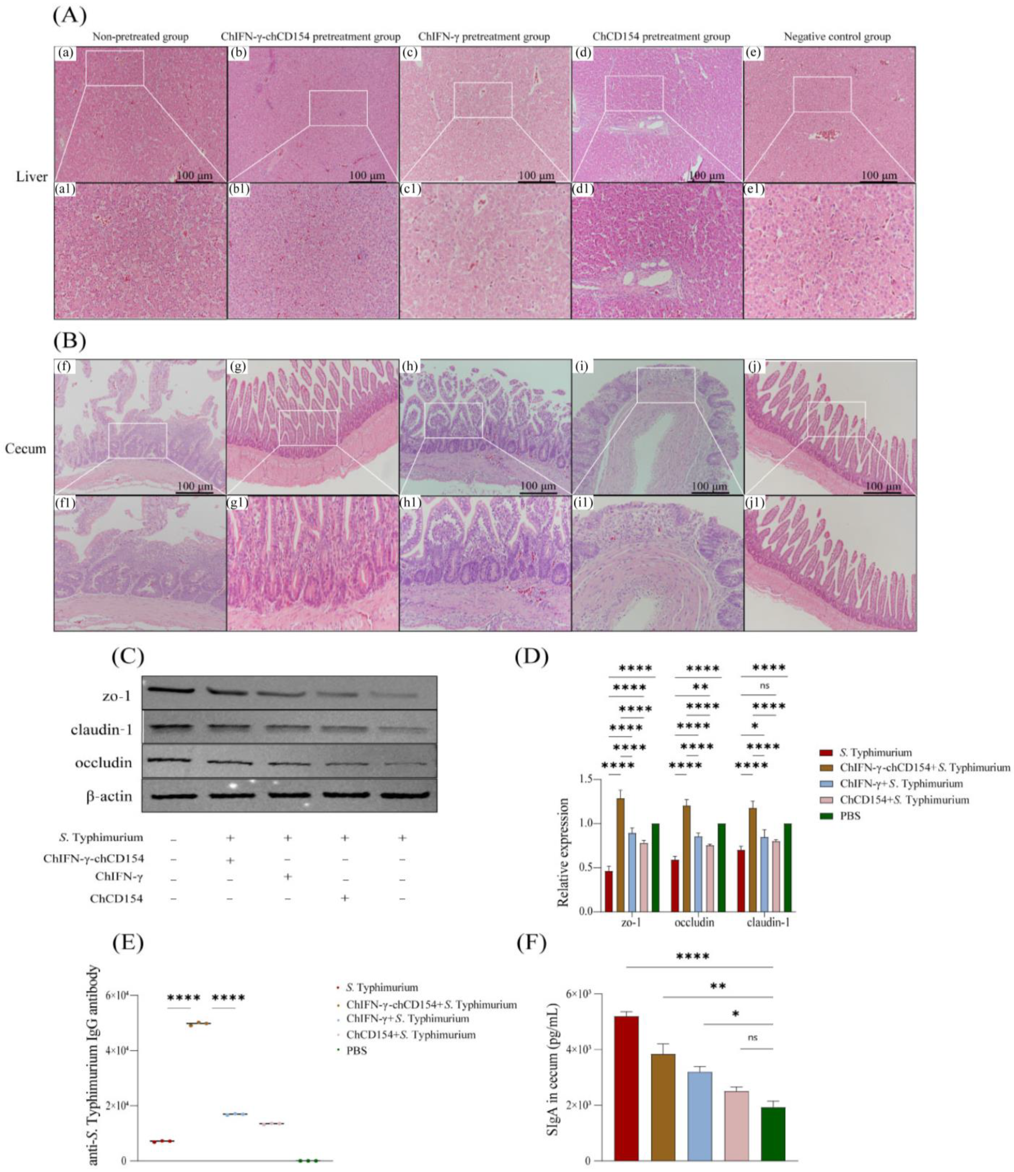 Vetsci 12 00112 g002
