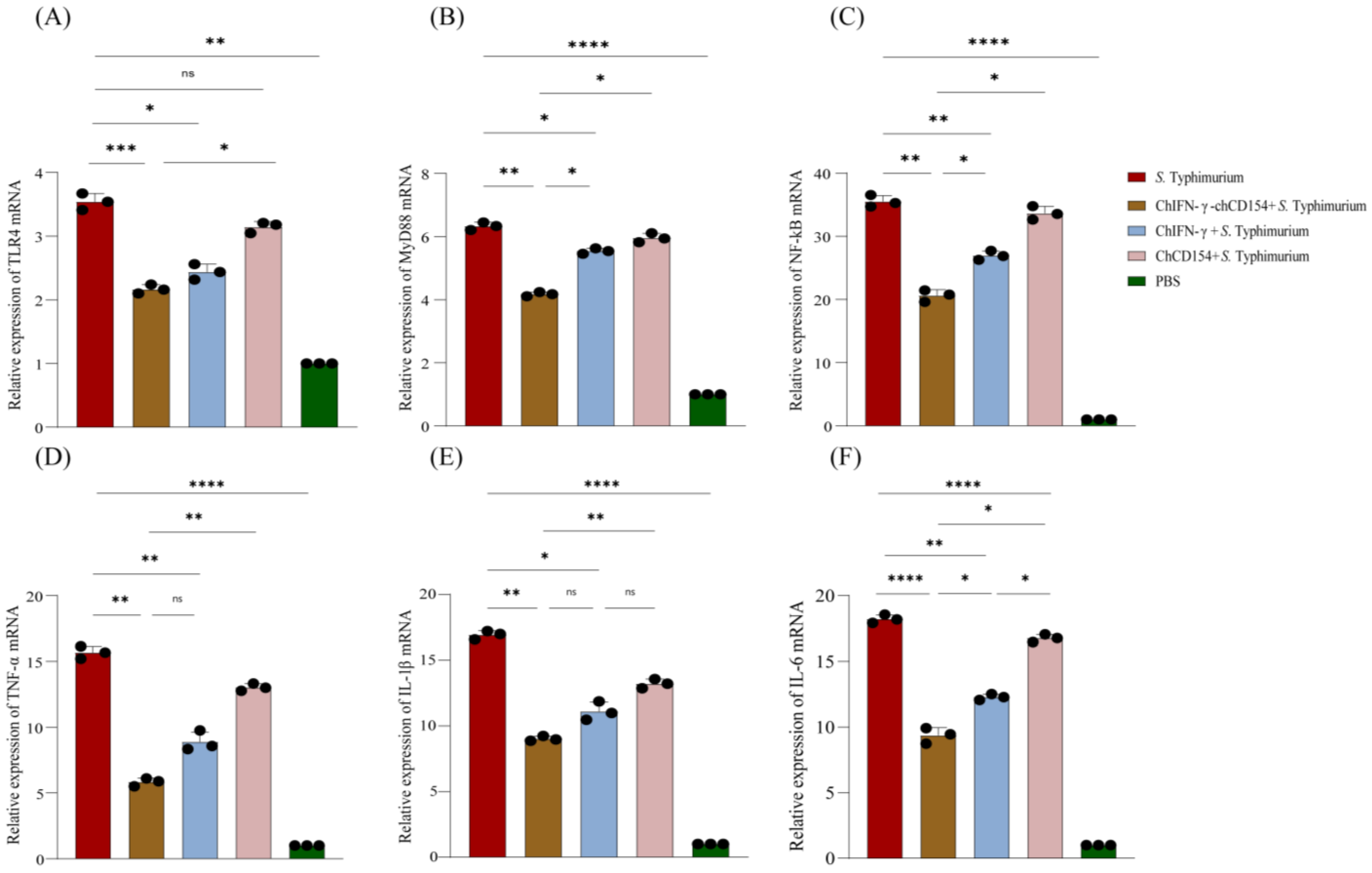 Vetsci 12 00112 g005