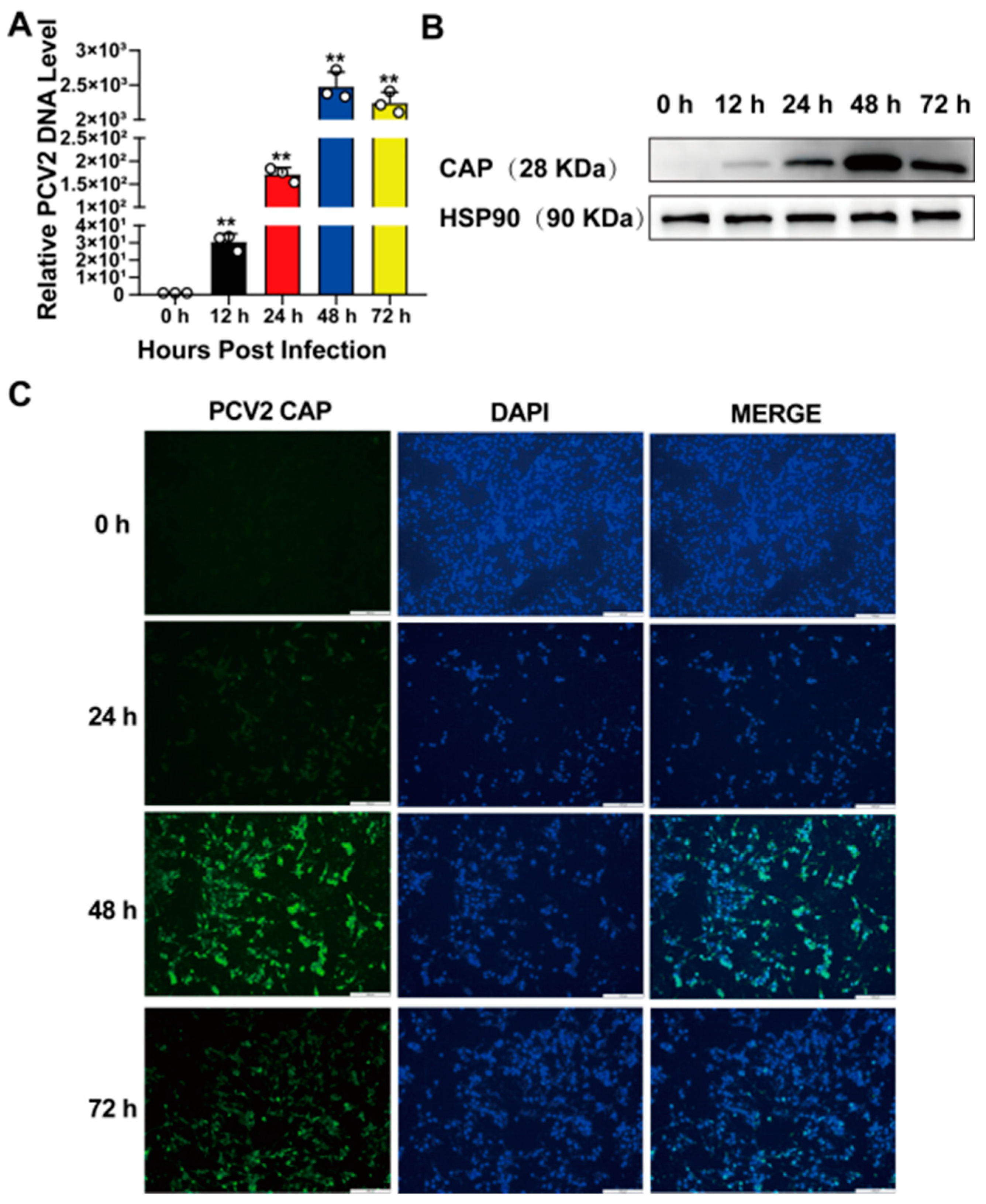 Vetsci 12 00117 g002