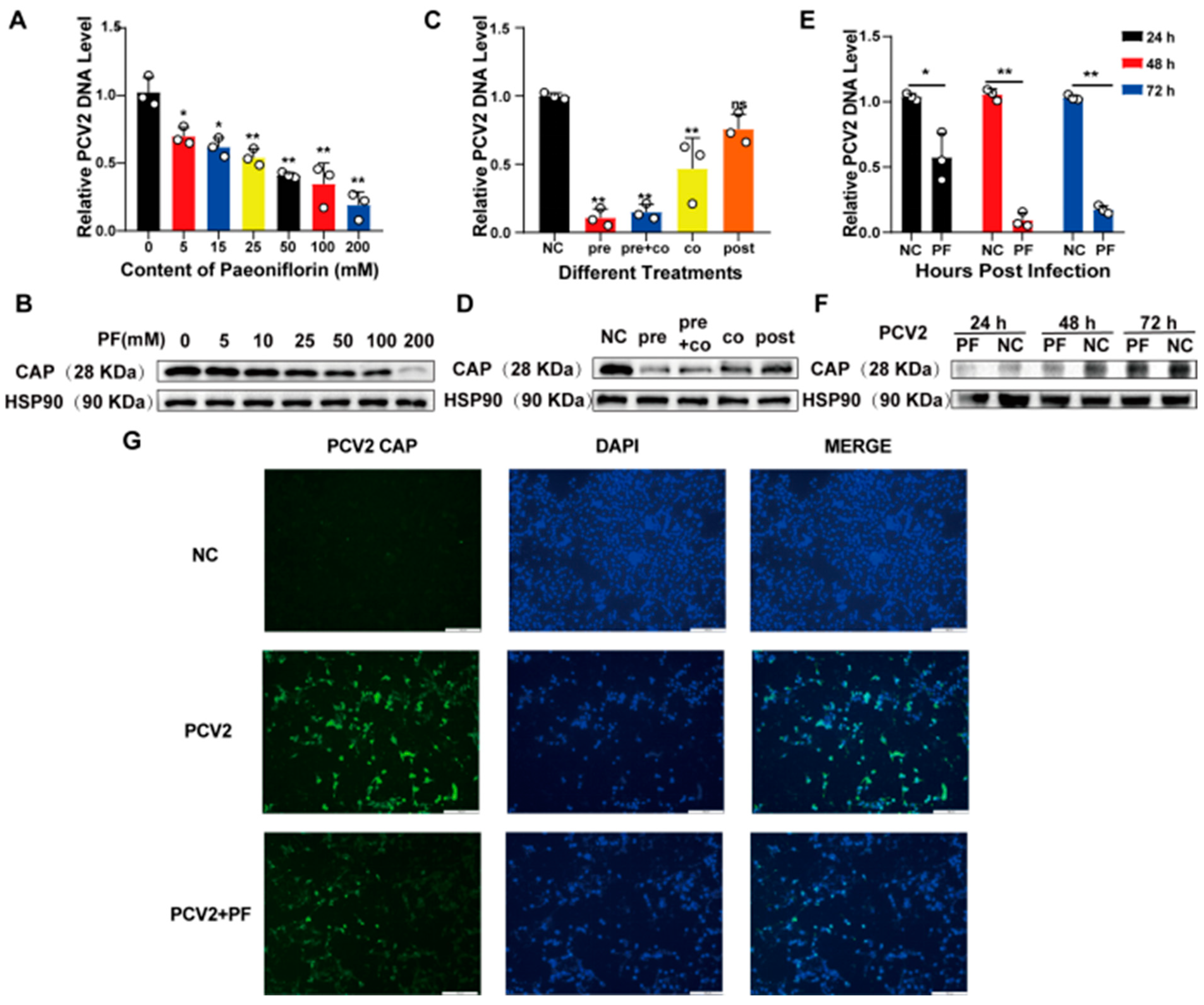 Vetsci 12 00117 g003