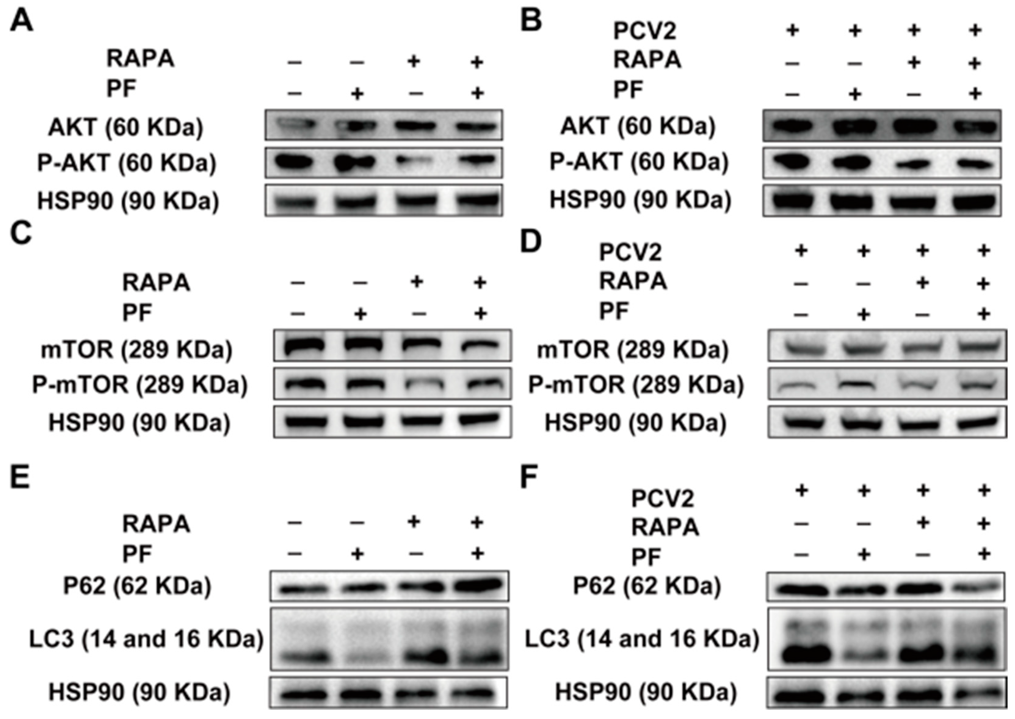 Vetsci 12 00117 g006