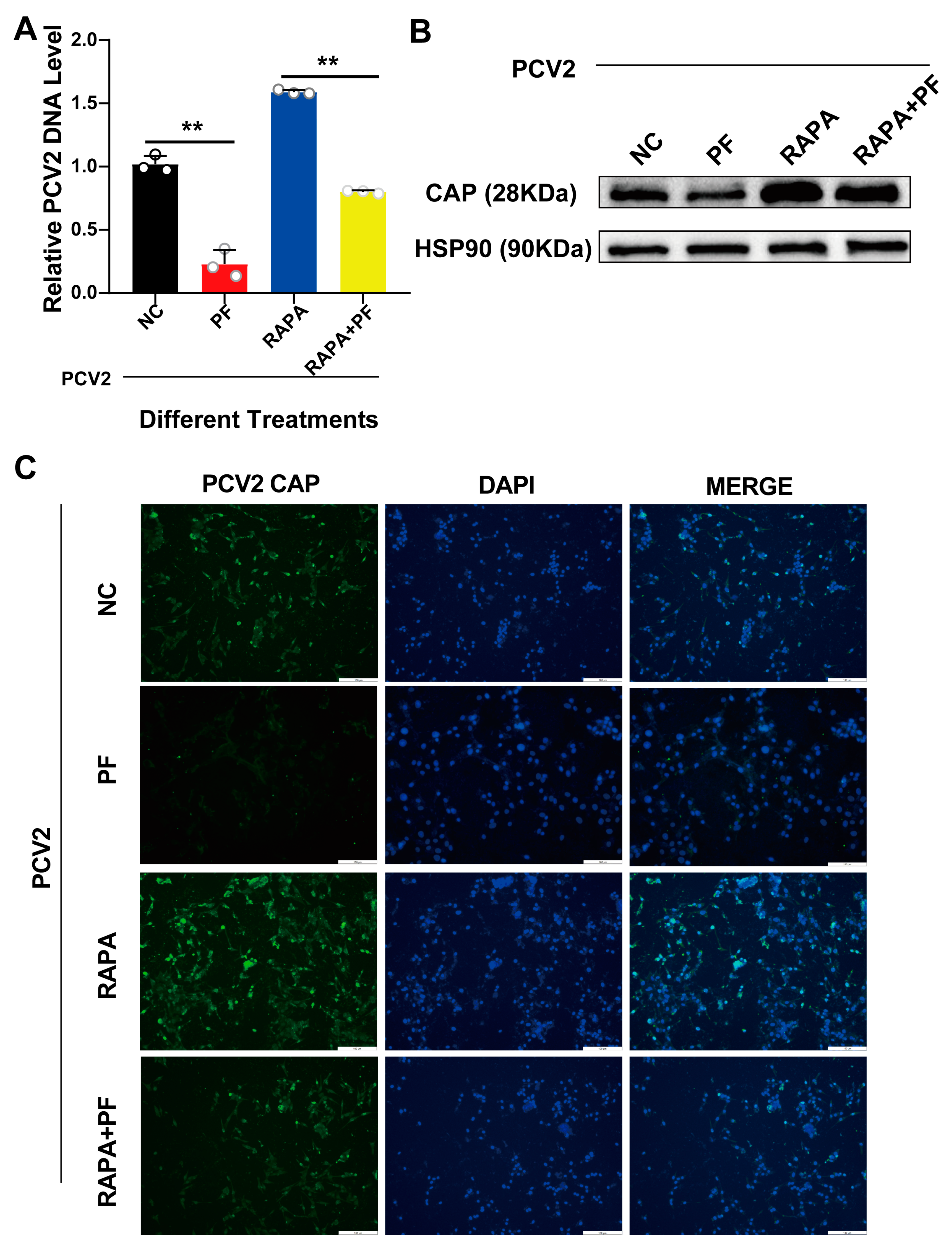 Vetsci 12 00117 g009